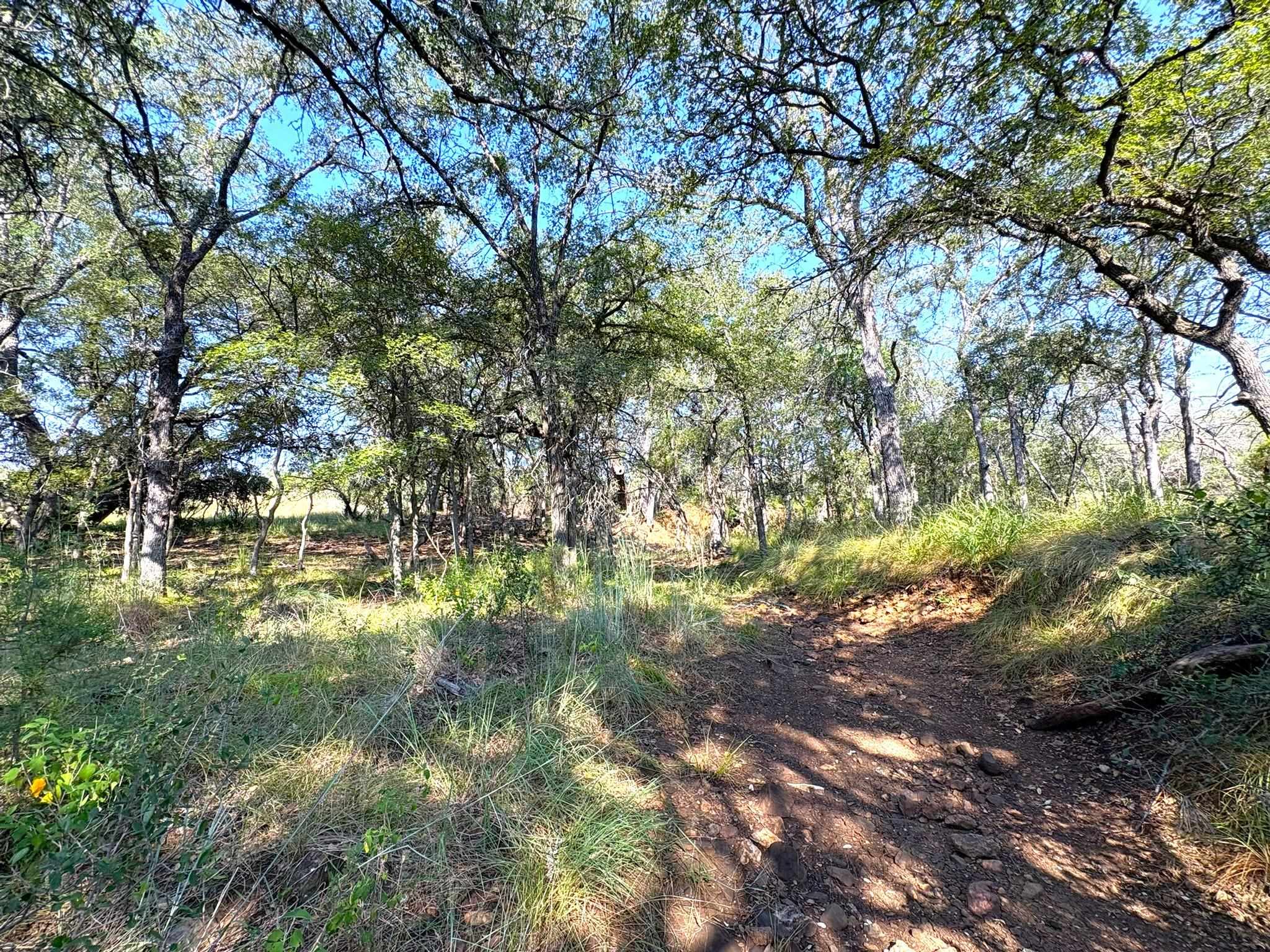 TBD - Lot 3 Sandy Mountain Dr
