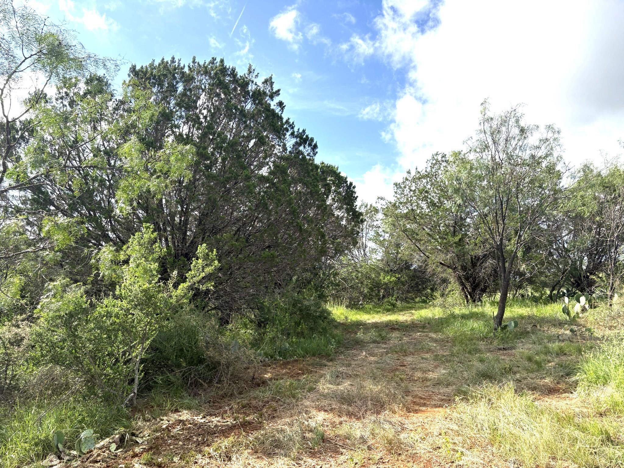 TBD Lot 4 Sandy Mountain Dr.