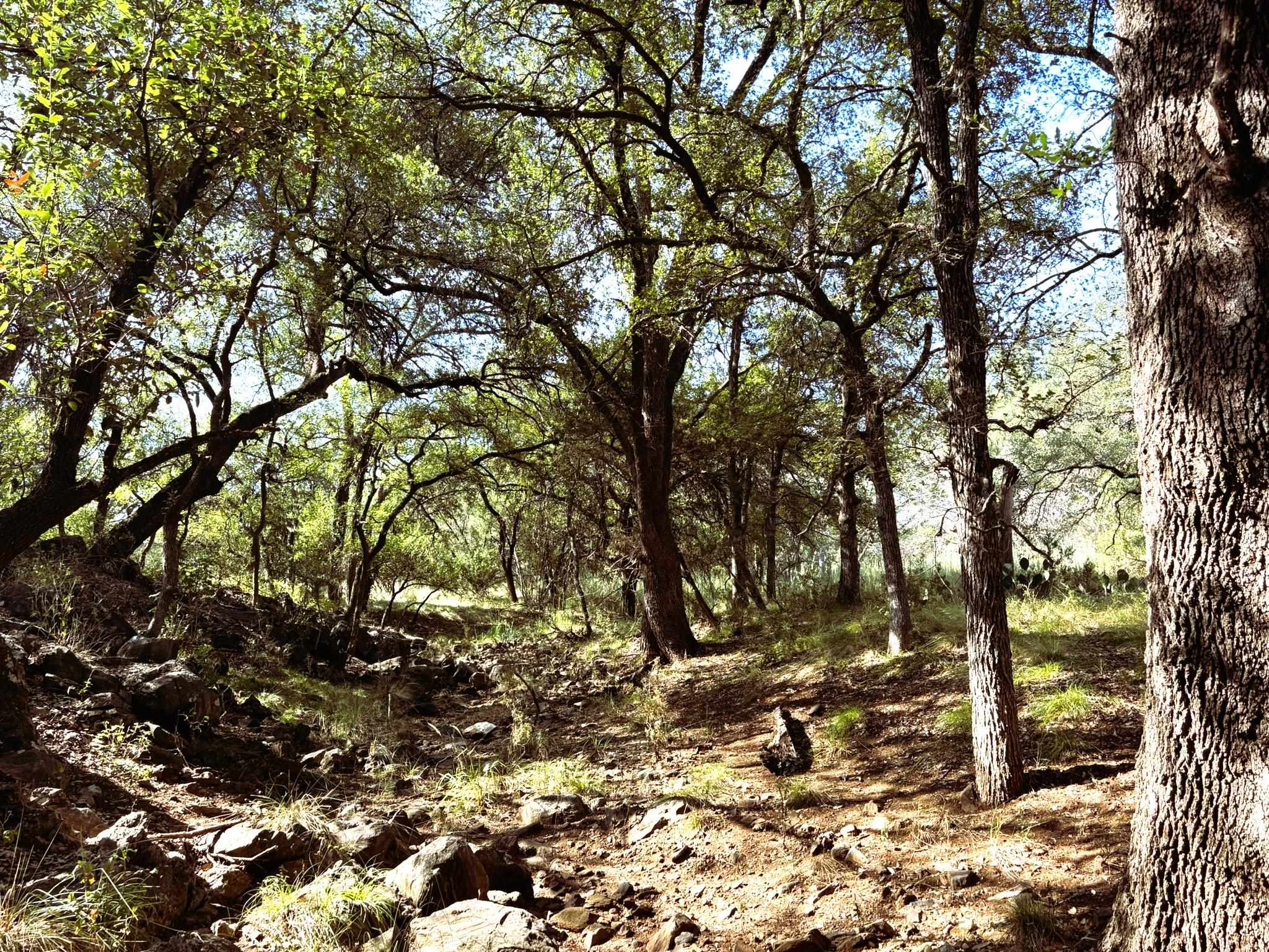 TBD Lot 2 Sandy Mountain