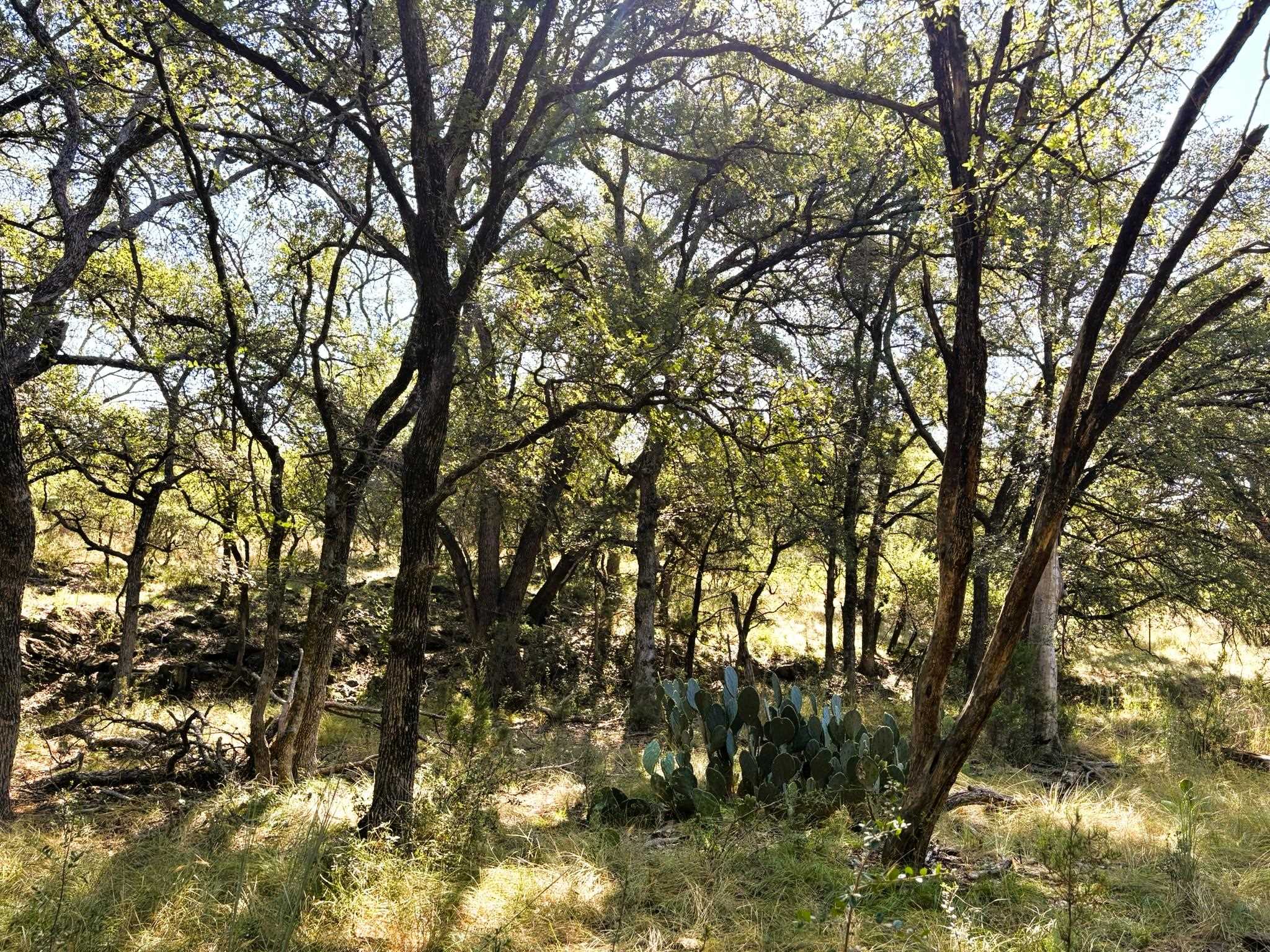 TBD Lot 2 Sandy Mountain