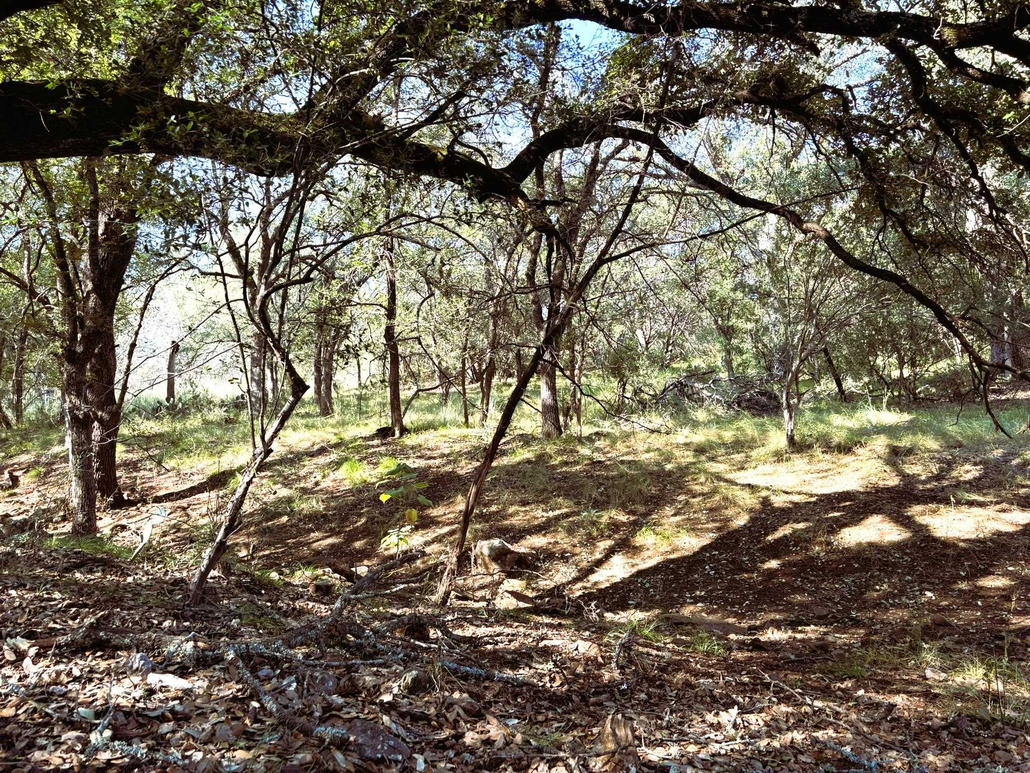 TBD Lot 2 Sandy Mountain