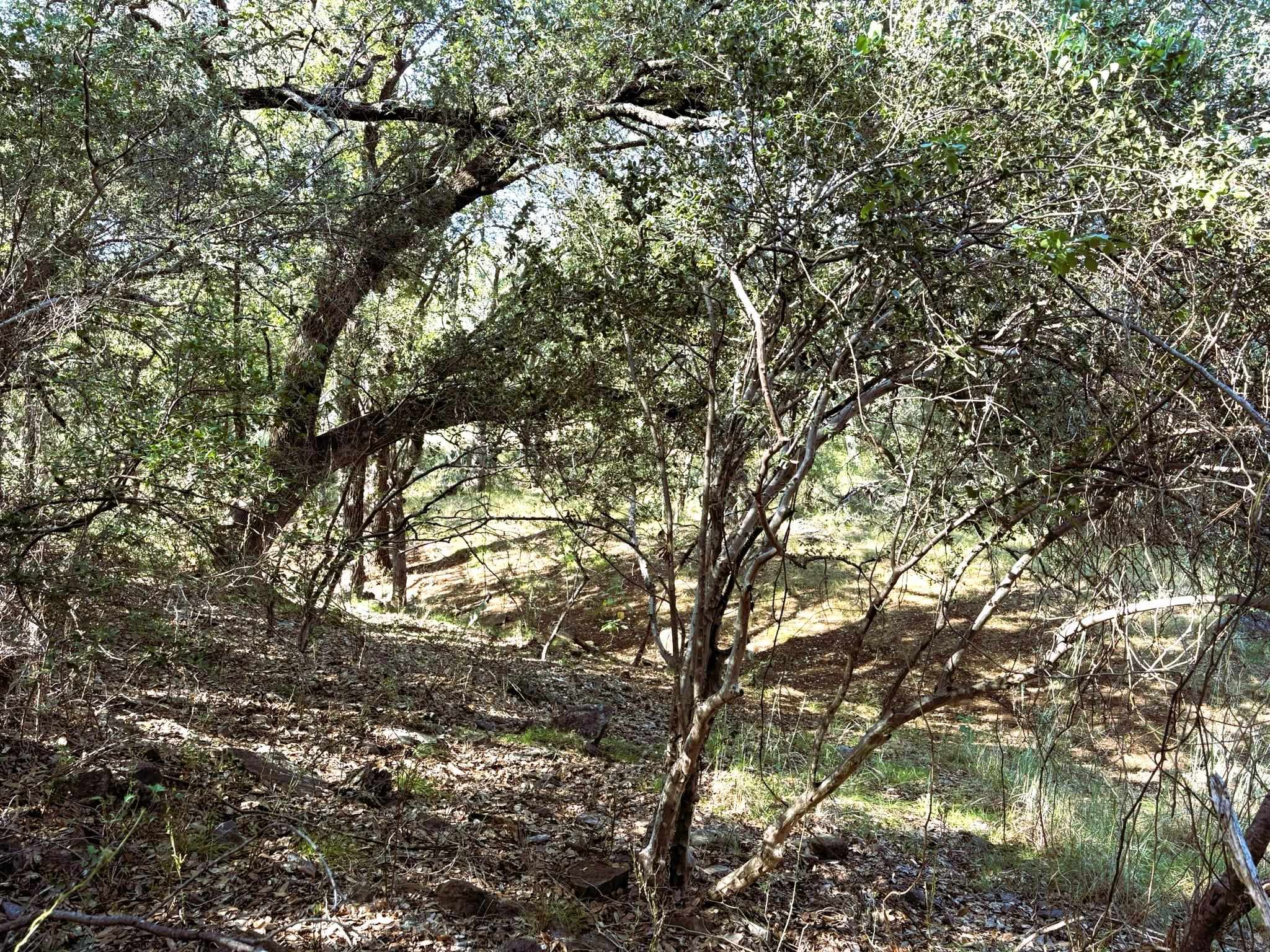 TBD Lot 2 Sandy Mountain