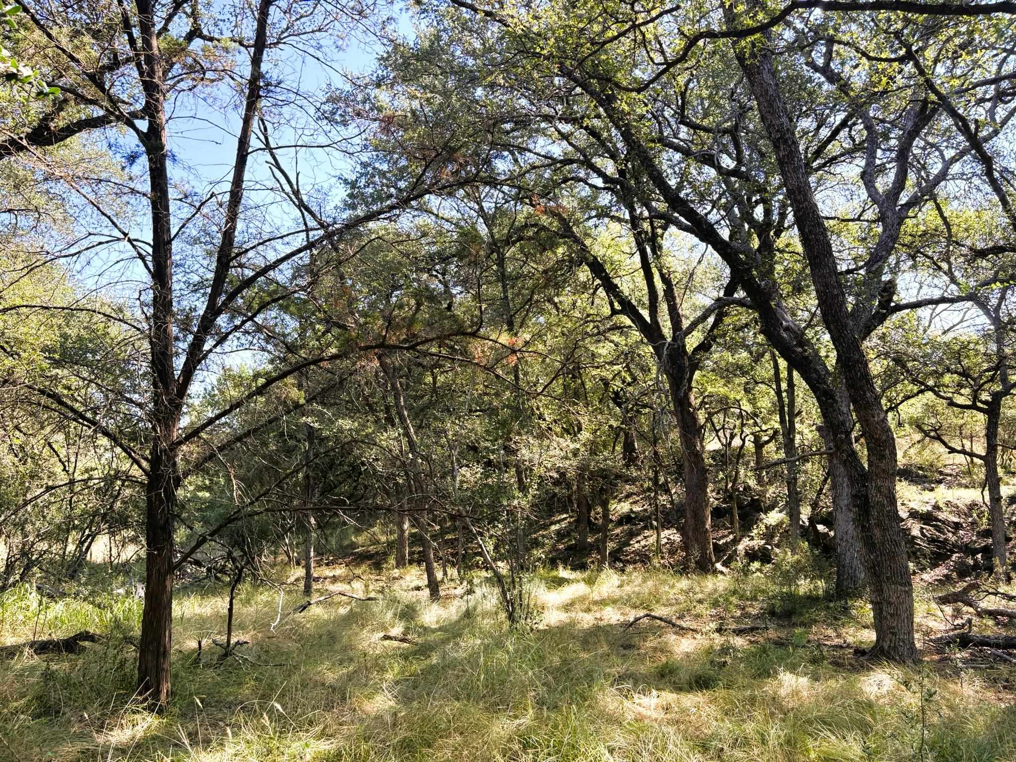 TBD Lot 2 Sandy Mountain