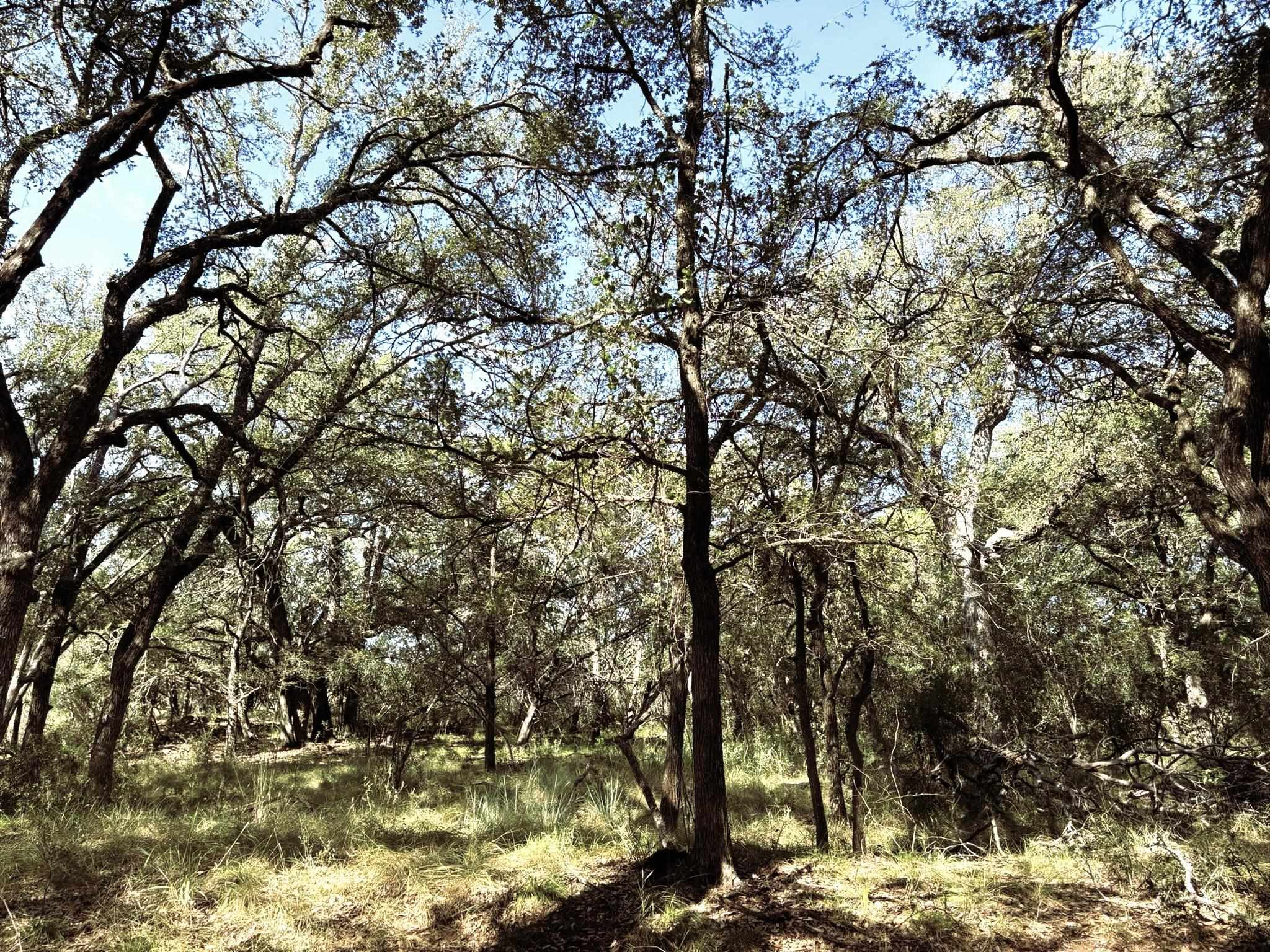 TBD Lot 2 Sandy Mountain