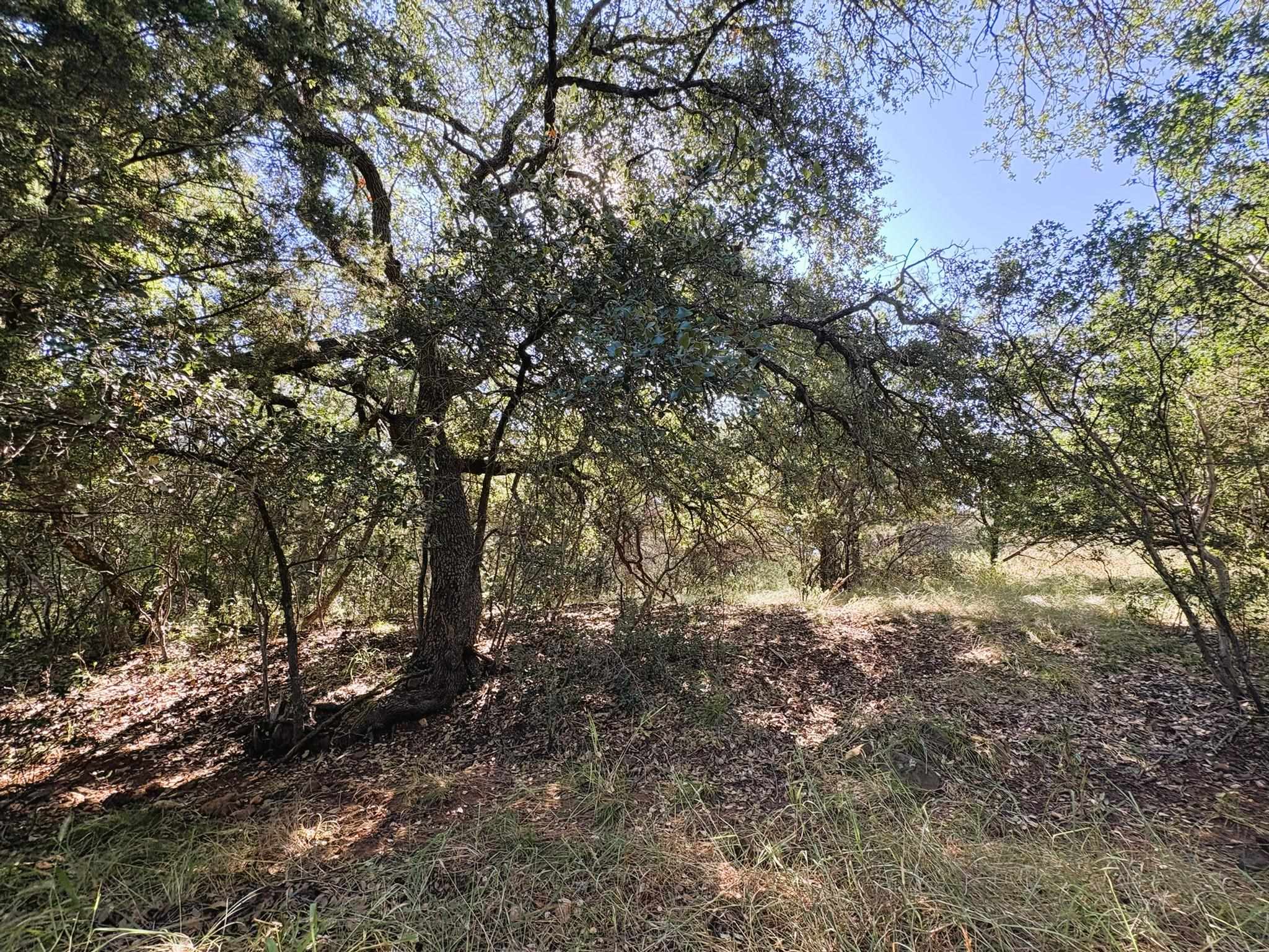 TBD Lot 2 Sandy Mountain