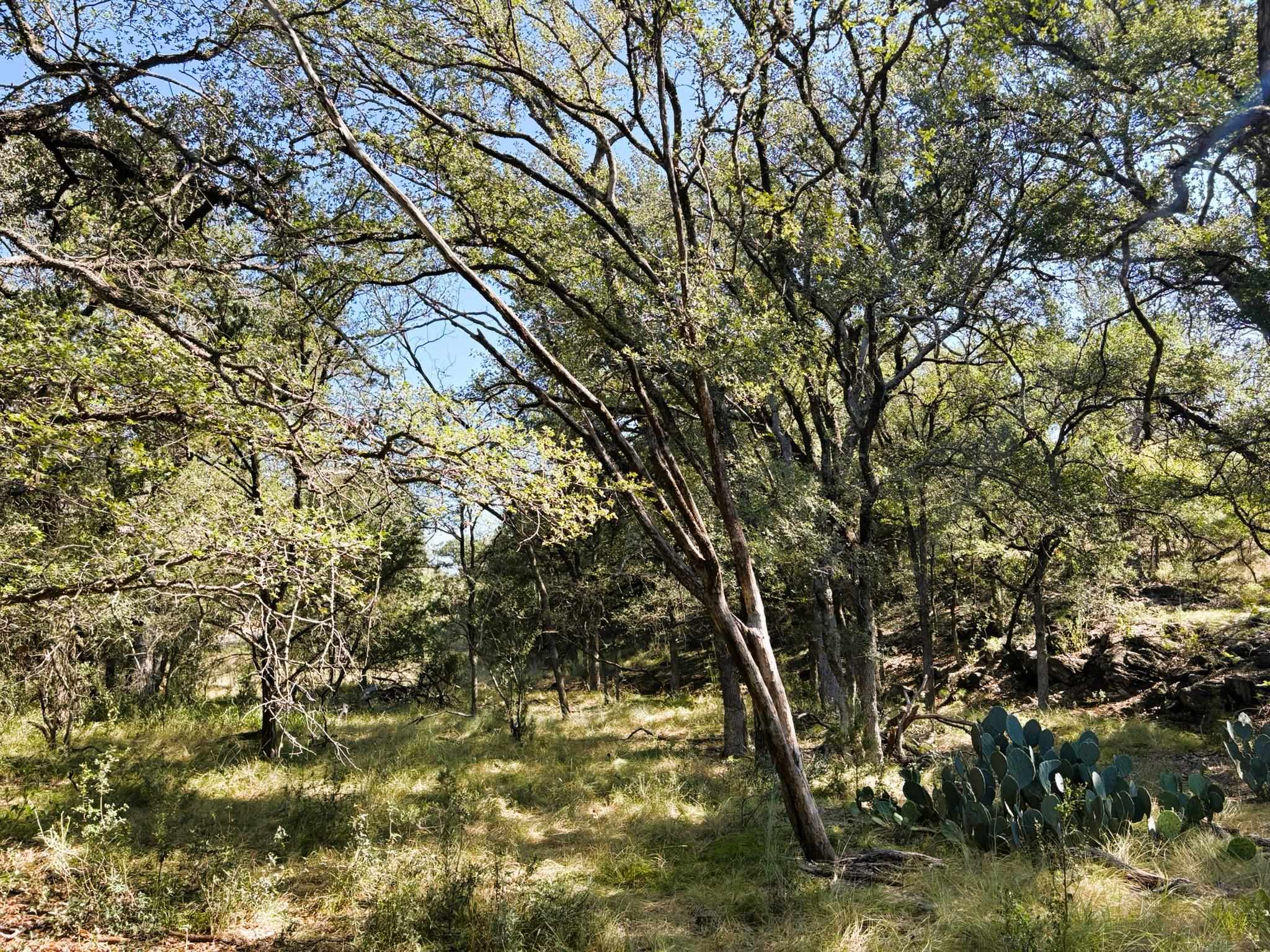 TBD Lot 2 Sandy Mountain