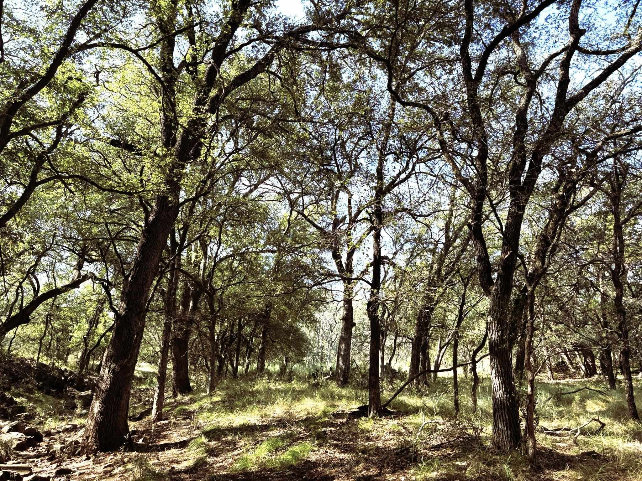 TBD Lot 2 Sandy Mountain