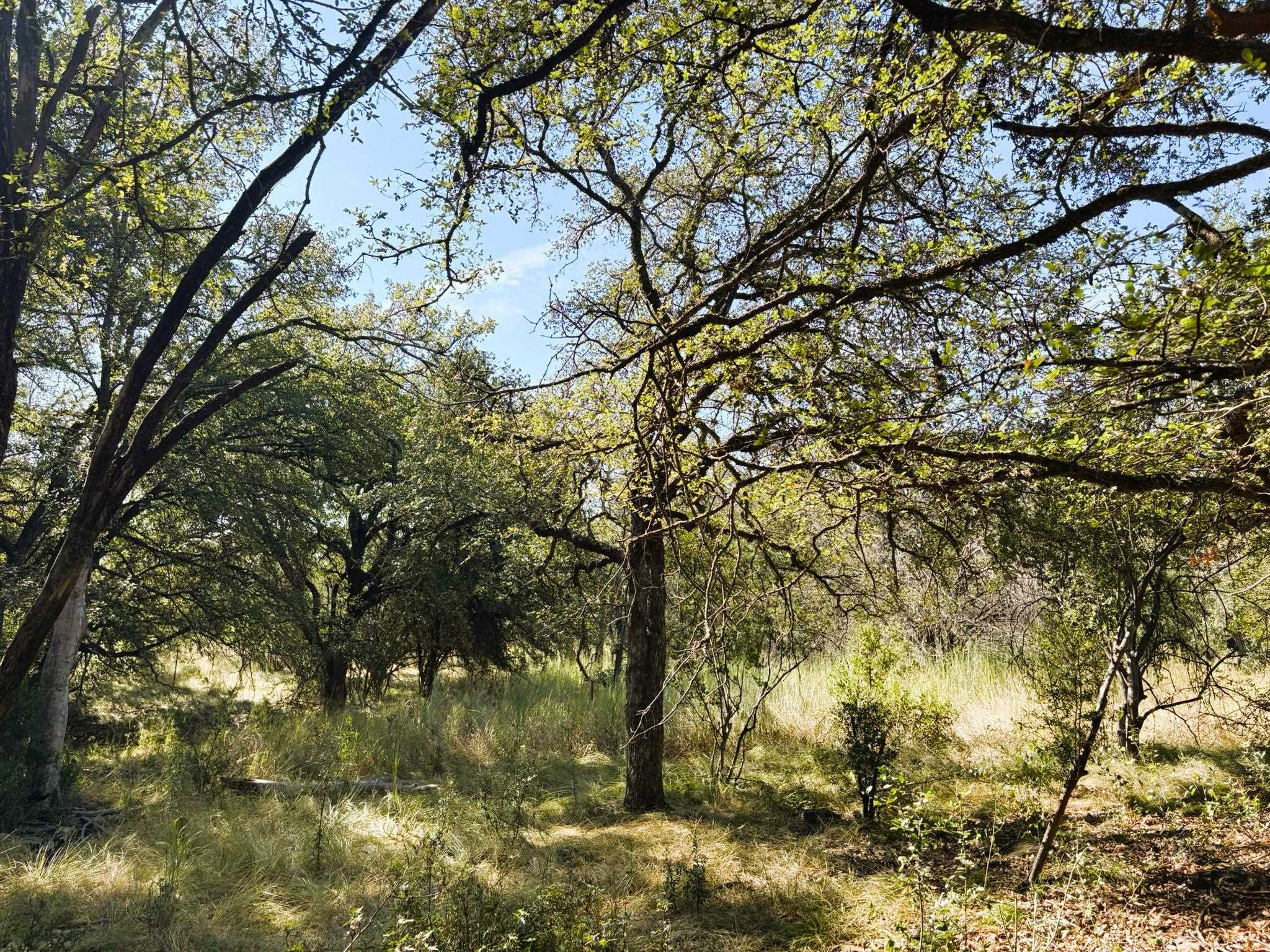 TBD Lot 2 Sandy Mountain