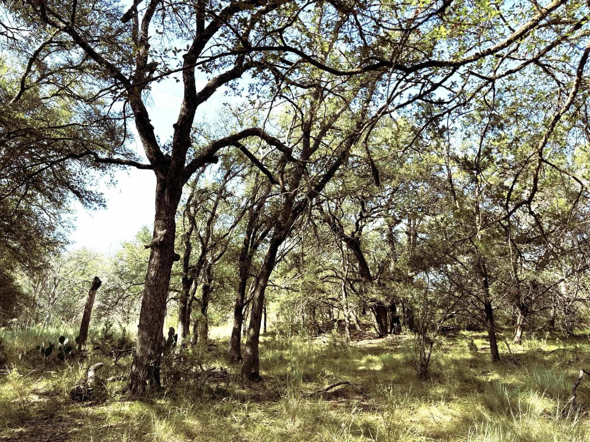 TBD Lot 2 Sandy Mountain