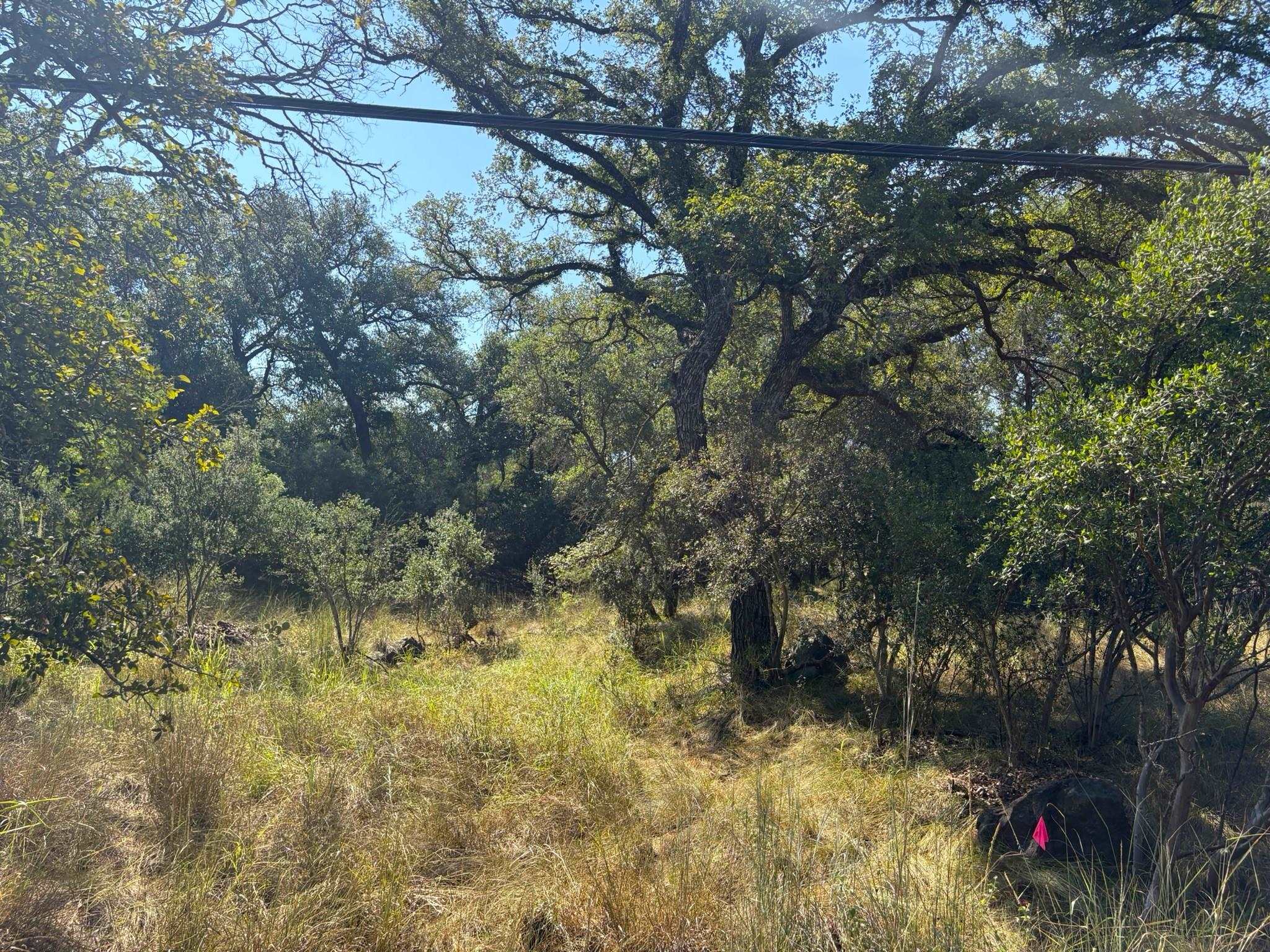 TBD Lot 2 Sandy Mountain