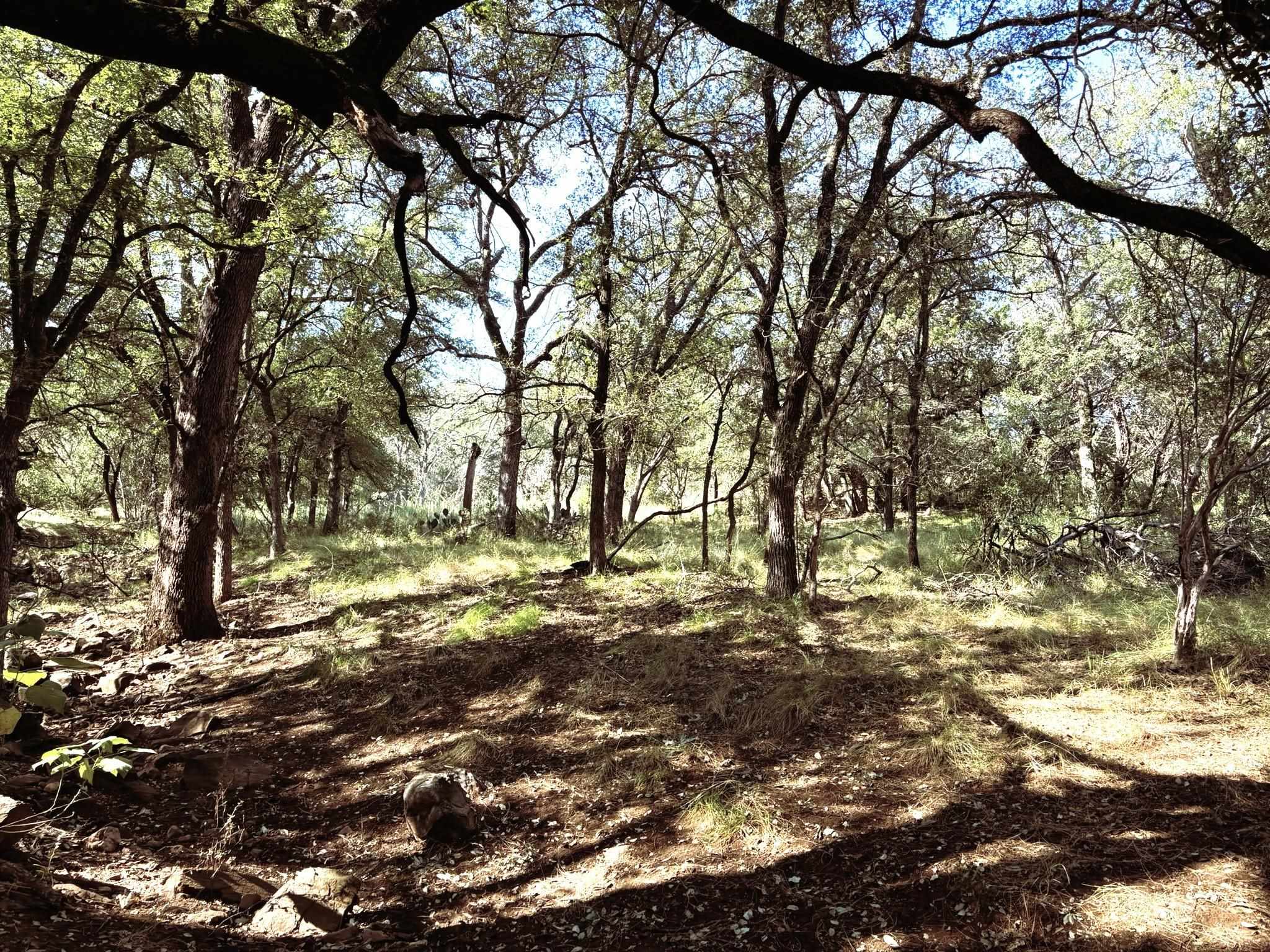 TBD Lot 2 Sandy Mountain