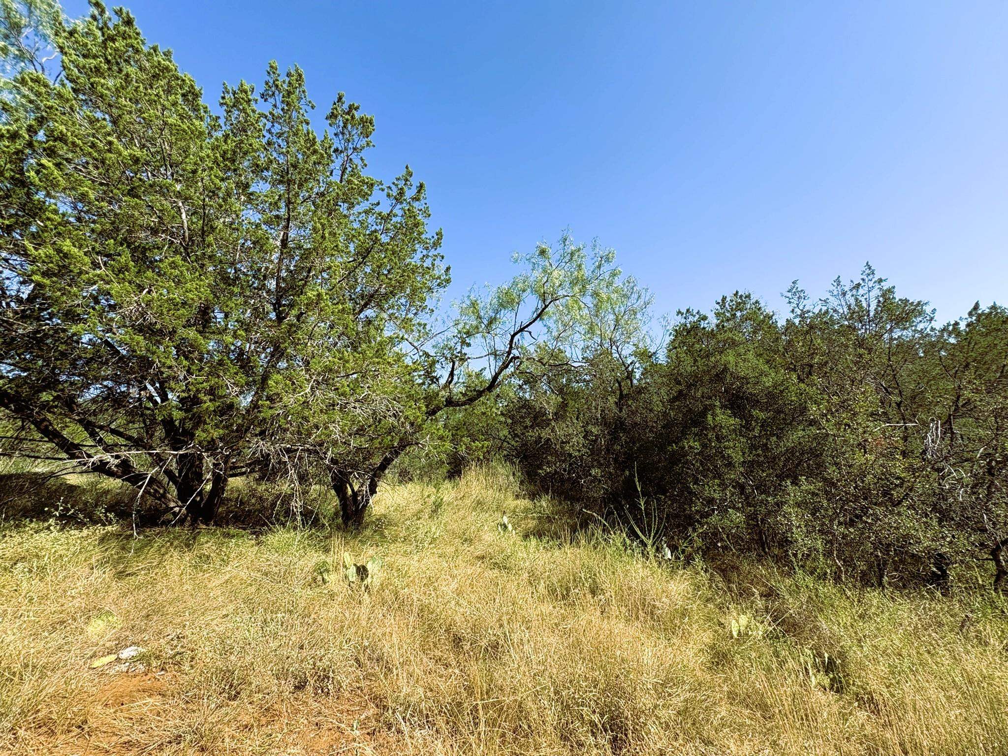 TBD Lot 2 Sandy Mountain