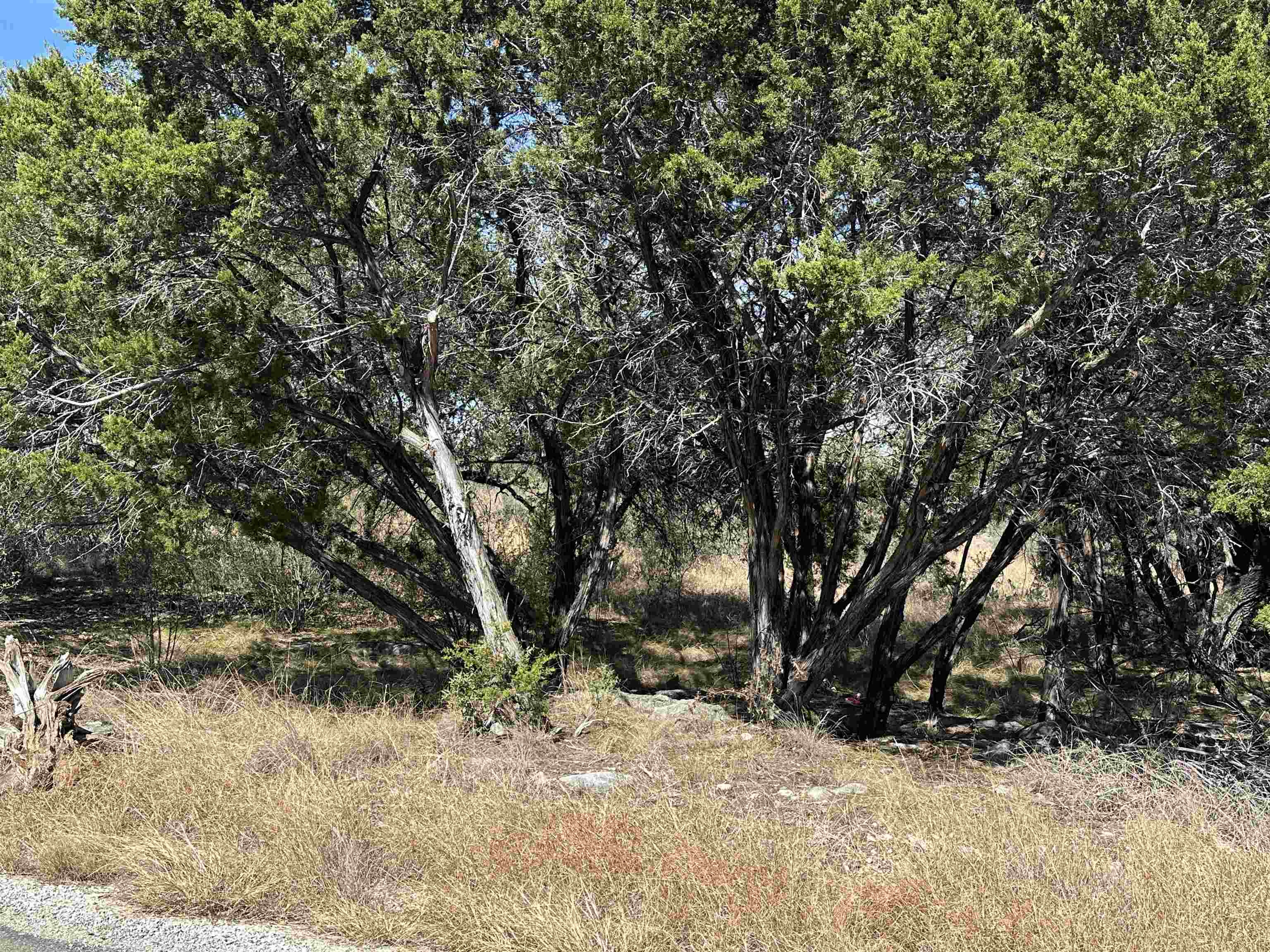 Lot K8007 Mountain Dew