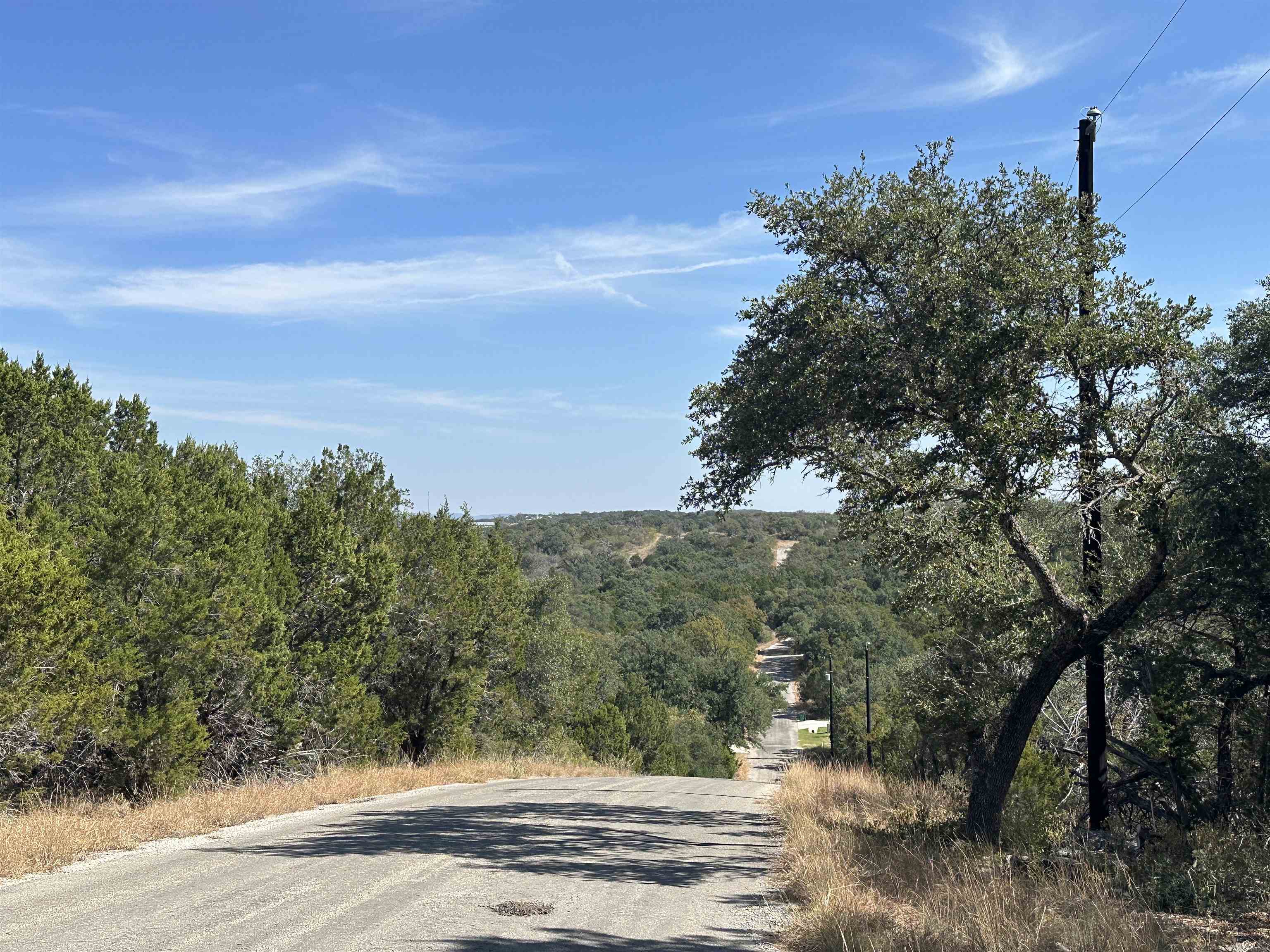 Lot K8007 Mountain Dew