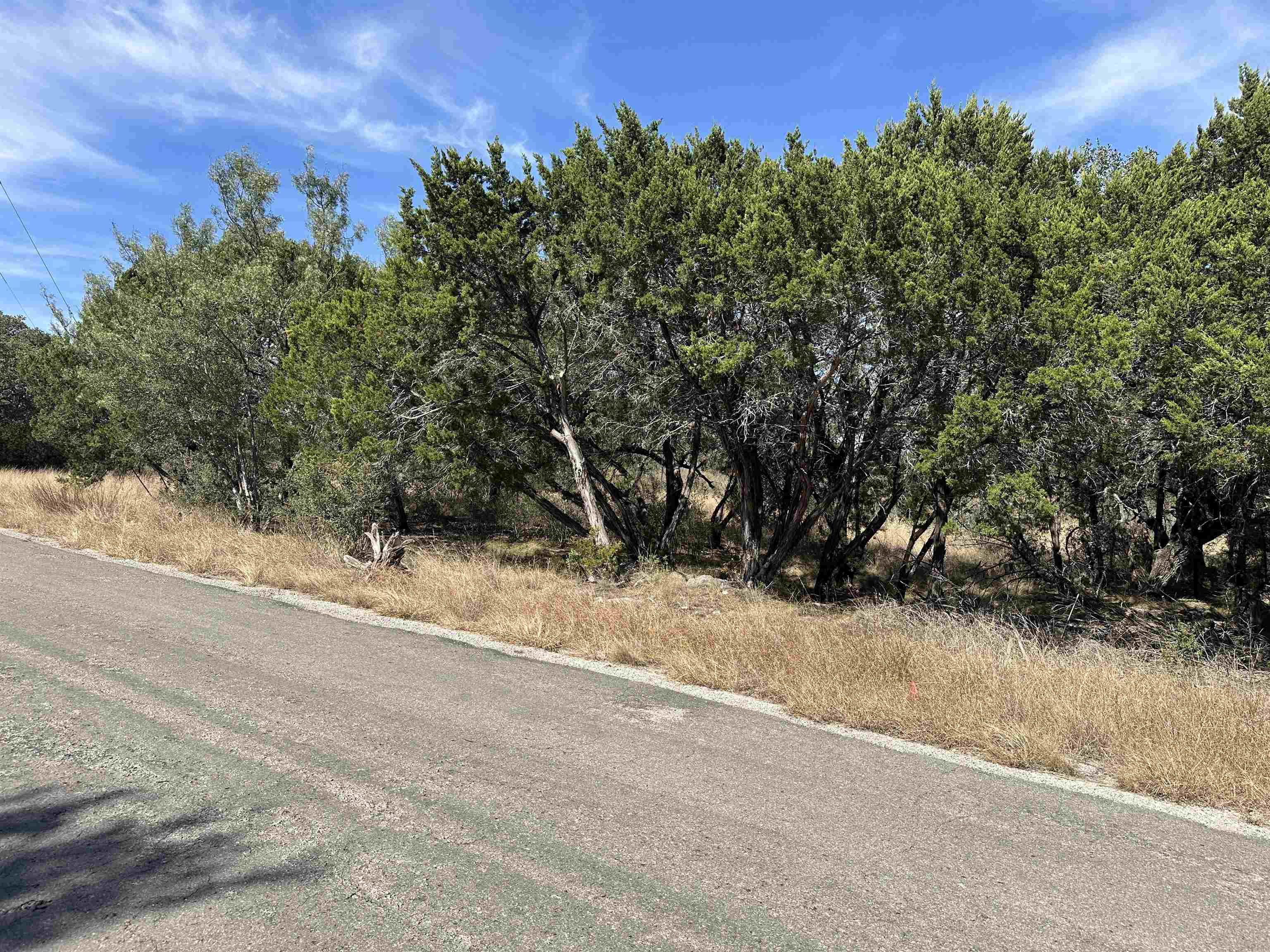 Lot K8007 Mountain Dew