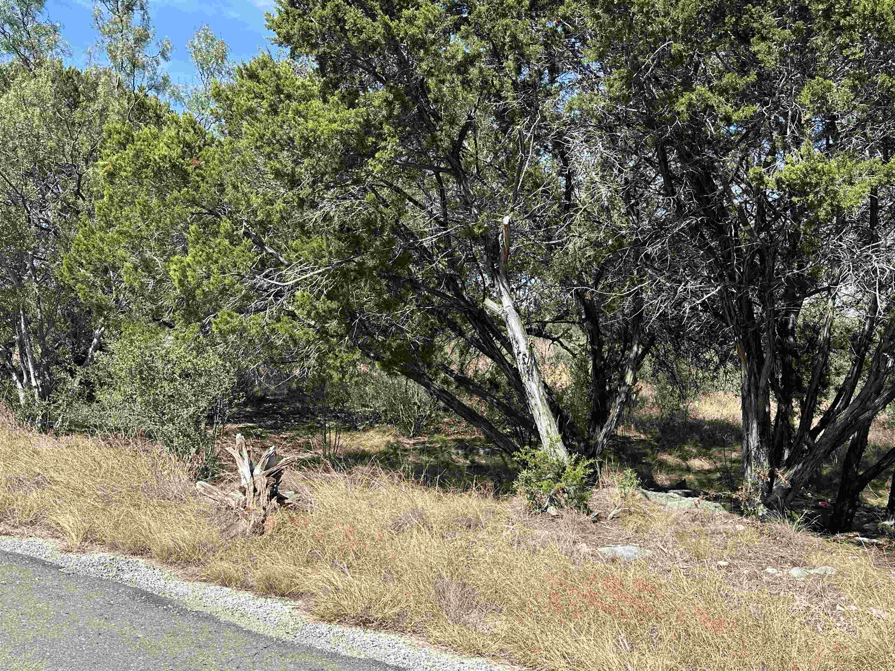 Lot K8007 Mountain Dew