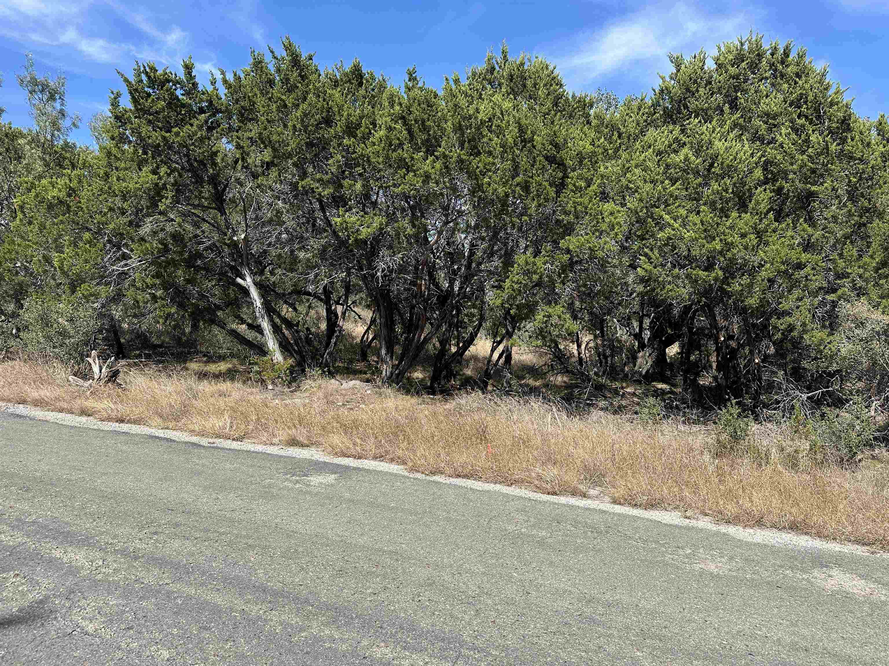 Lot K8007 Mountain Dew