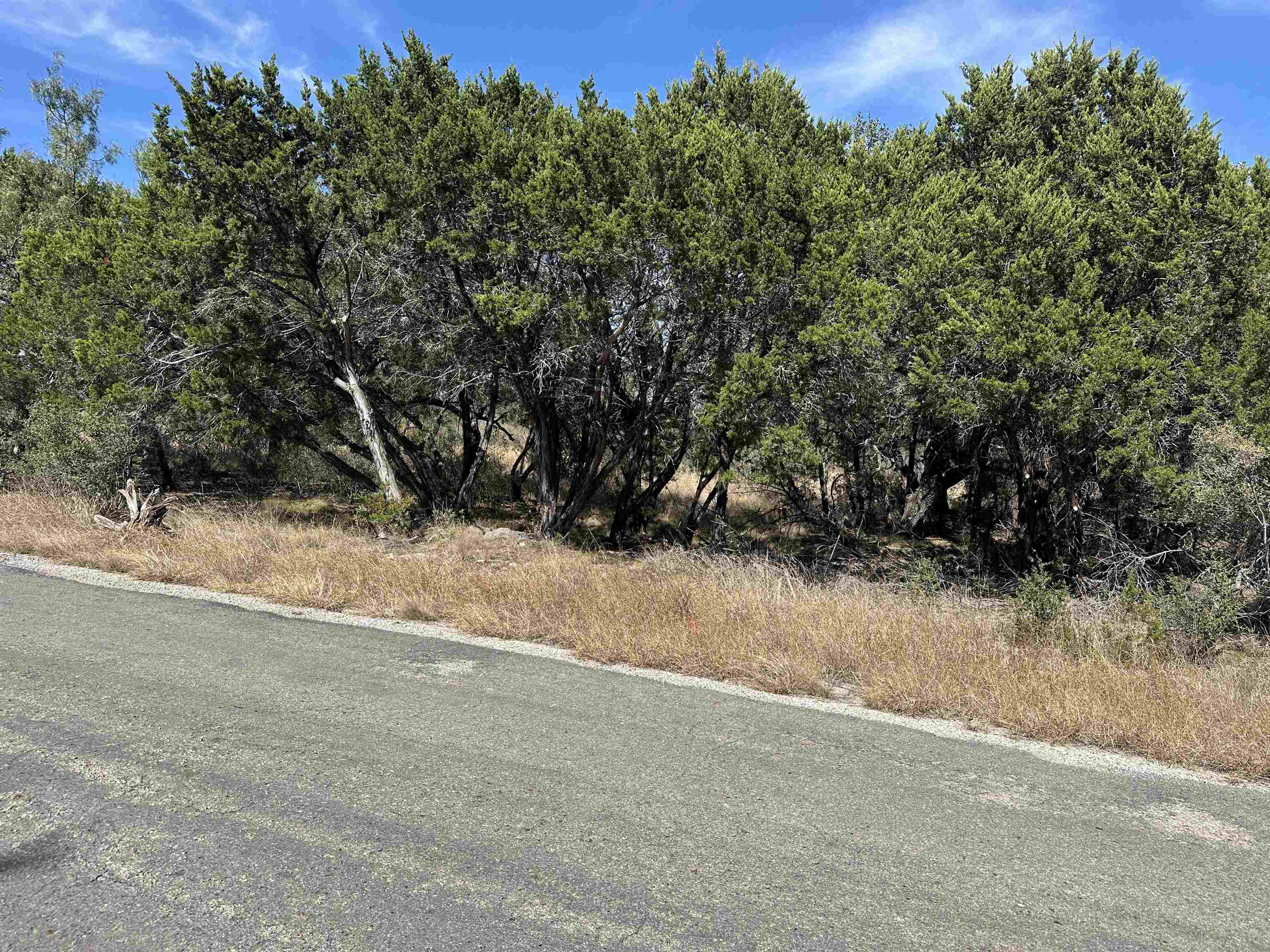 Lot K8007 Mountain Dew