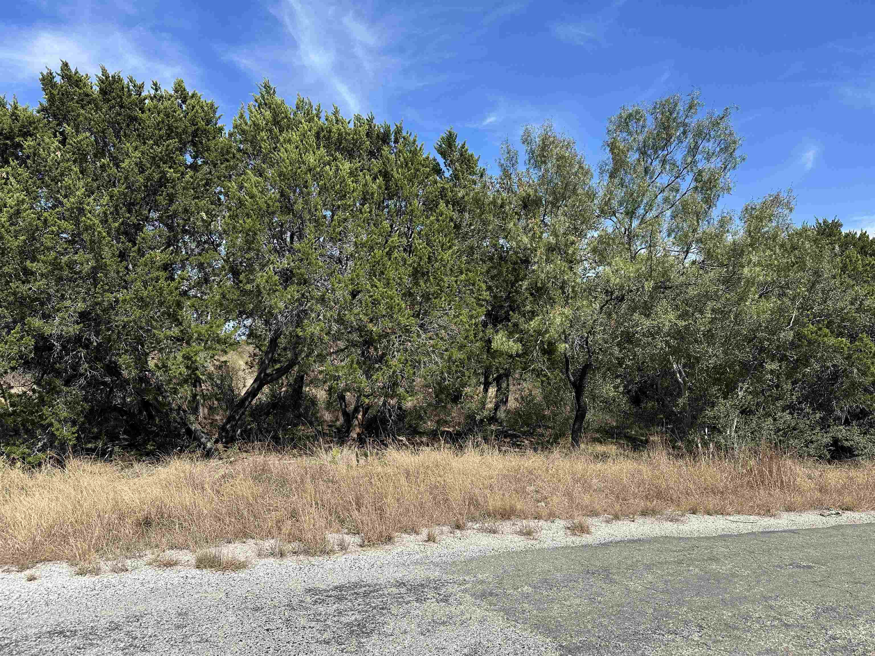 Lot K8007 Mountain Dew