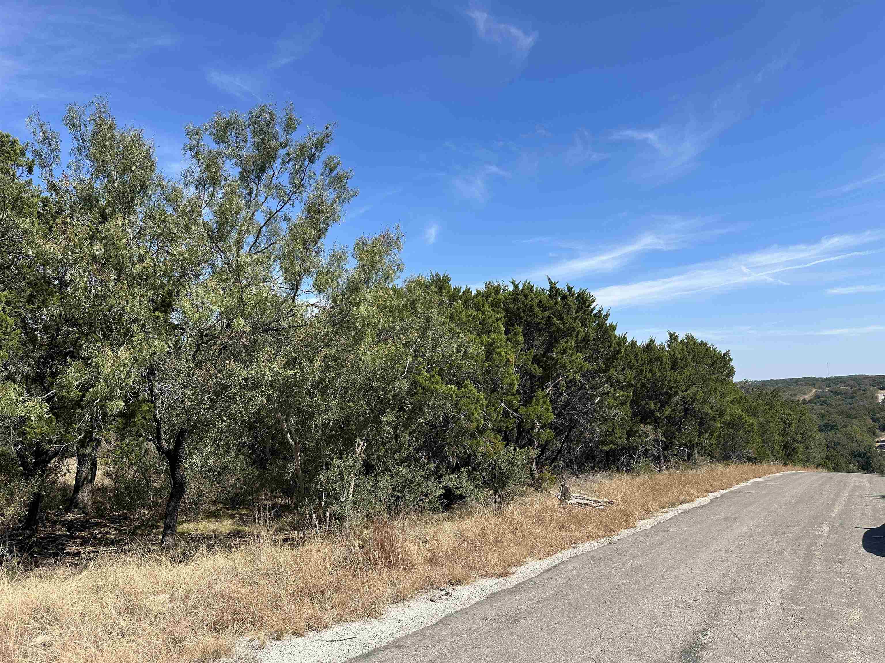 Lot K8007 Mountain Dew