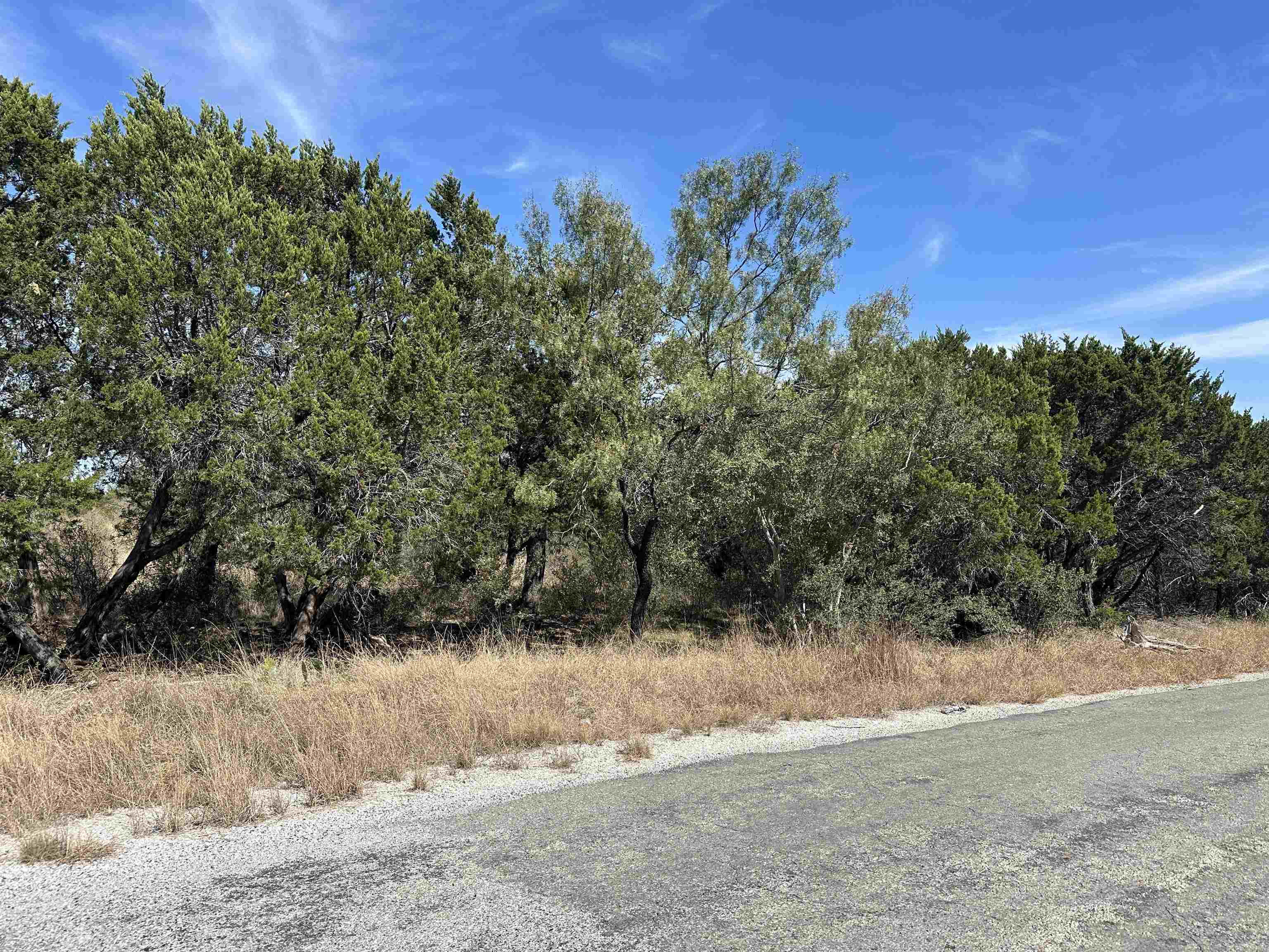 Lot K8007 Mountain Dew