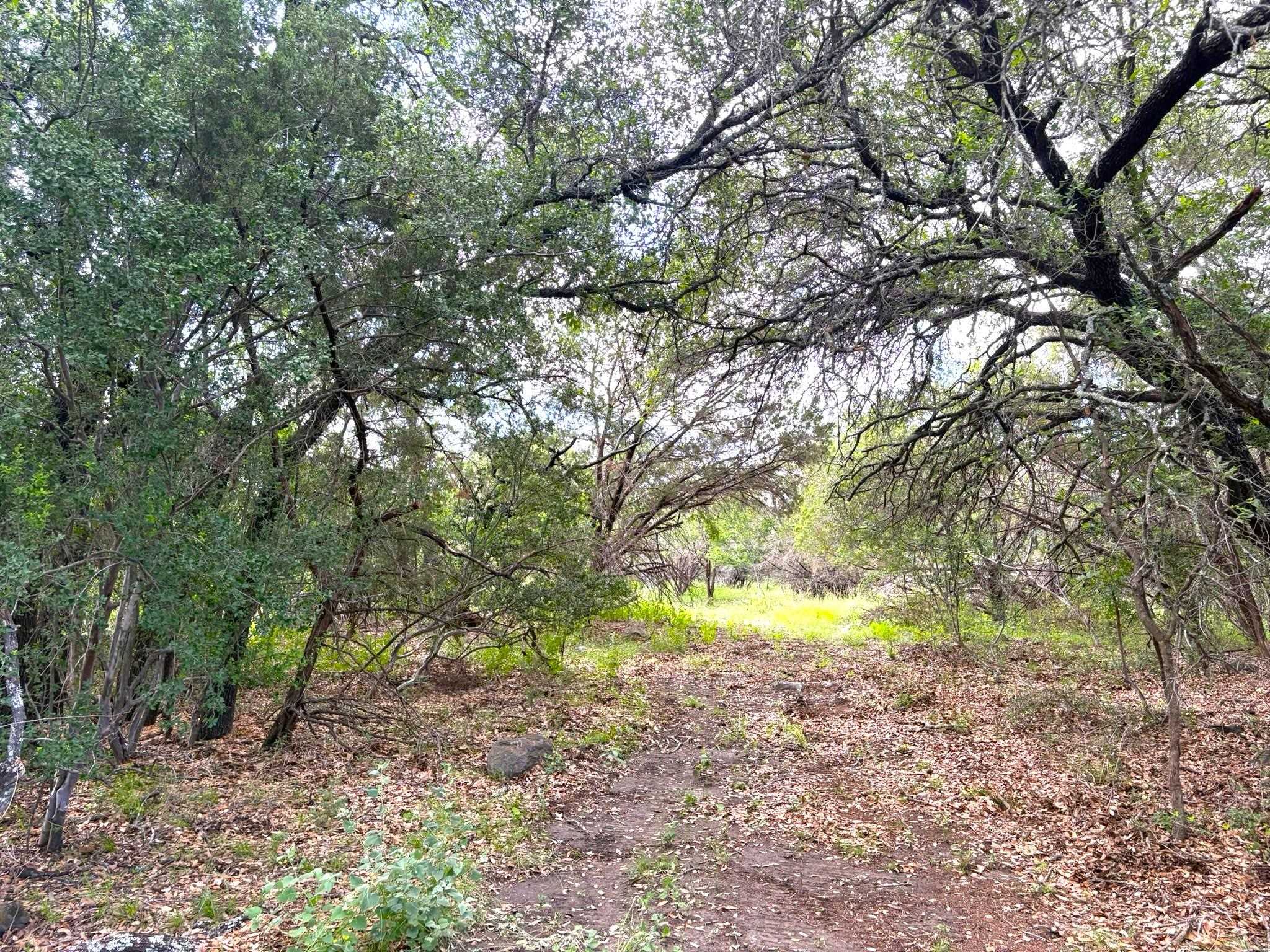 380 Sandy Mountain Dr