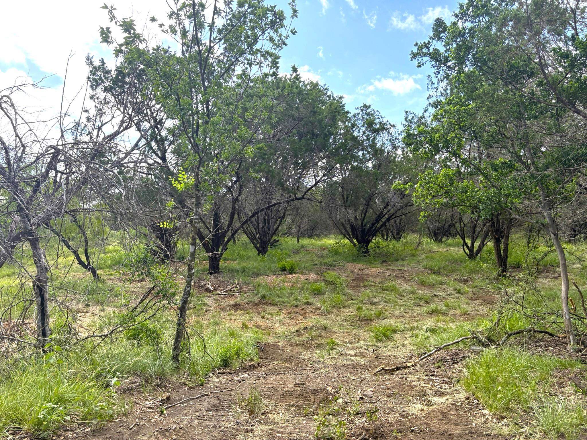 380 Sandy Mountain Dr