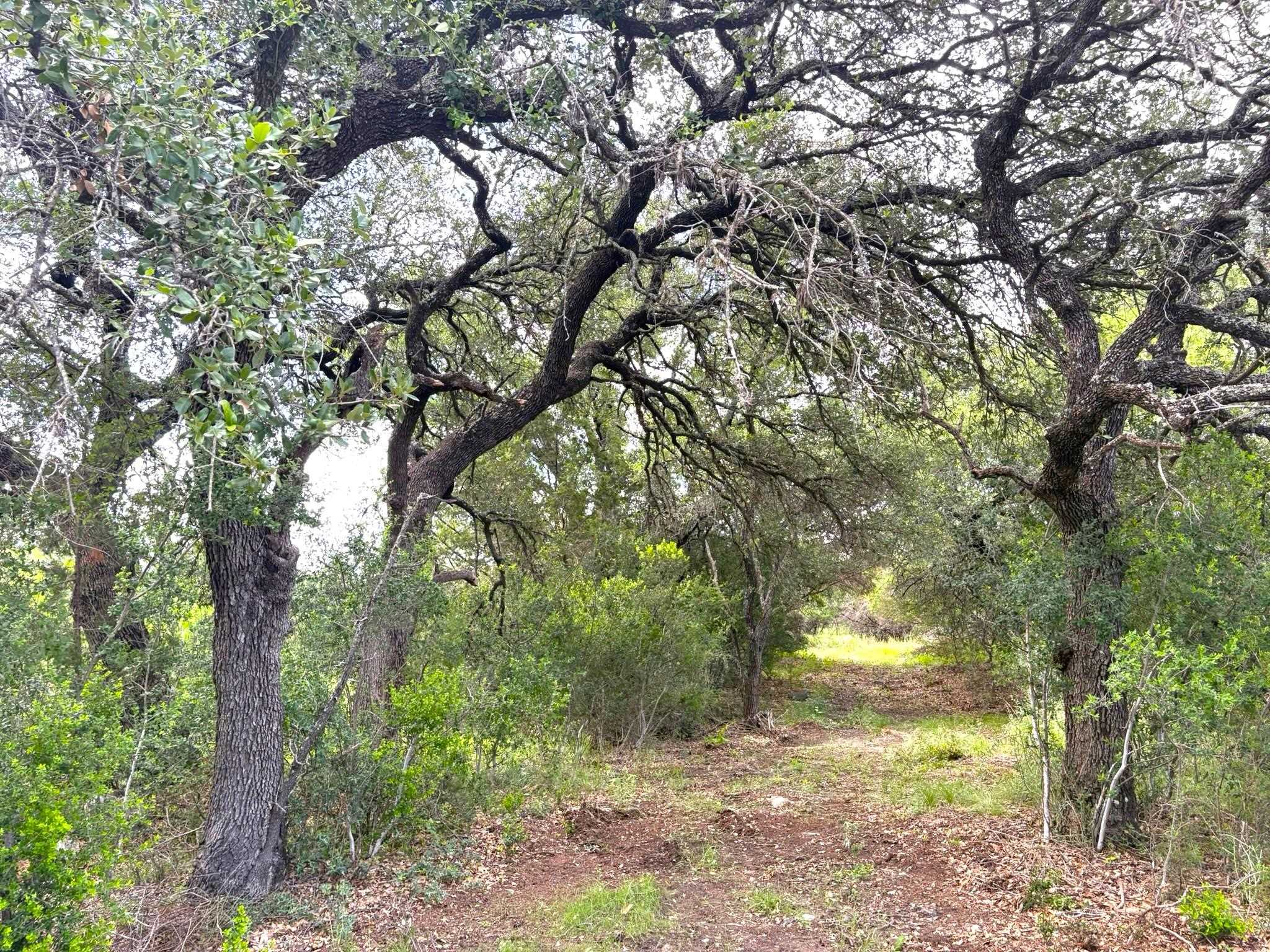 380 Sandy Mountain Dr