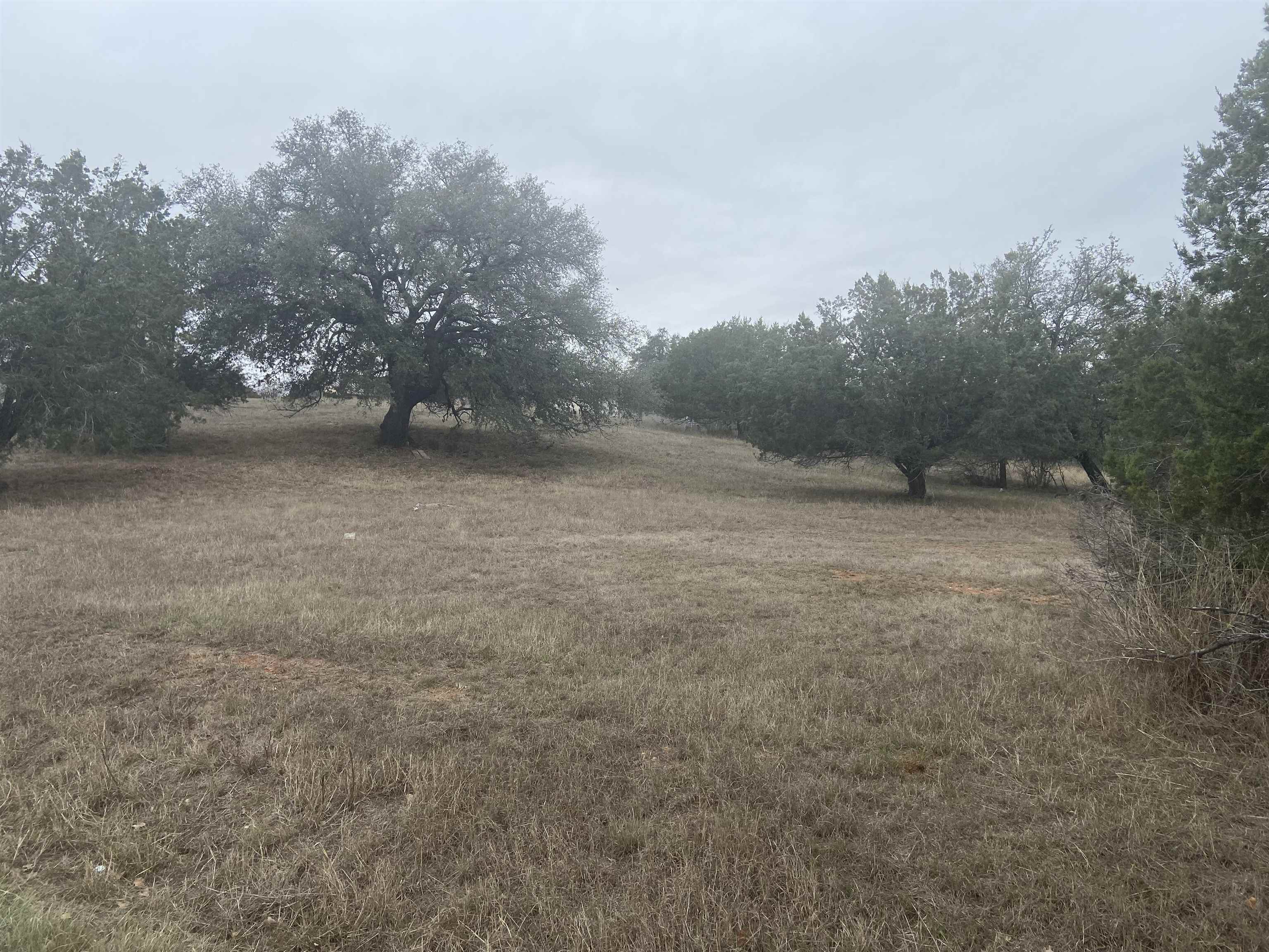 W2016 and W2017 Discreet