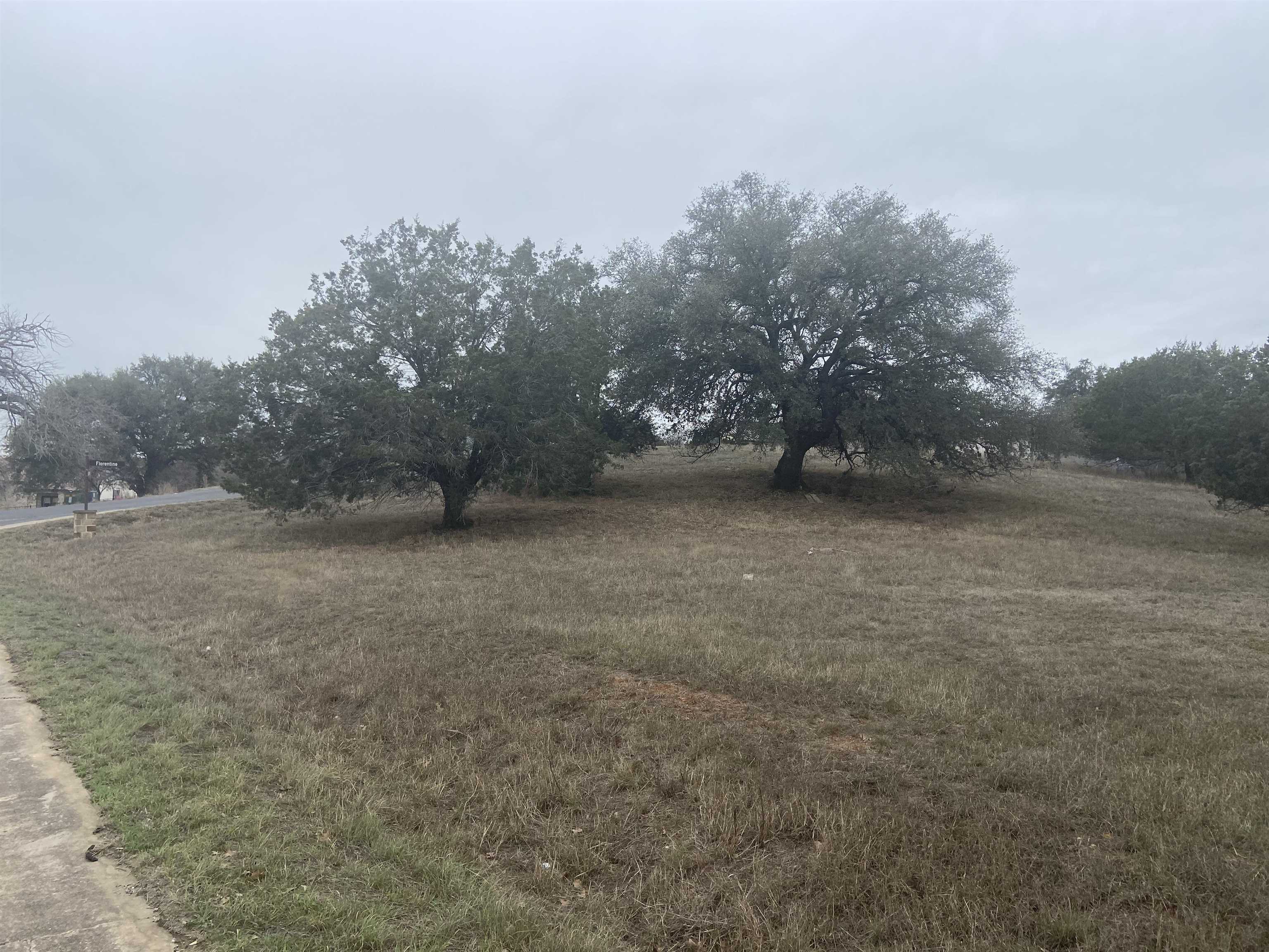 W2016 and W2017 Discreet