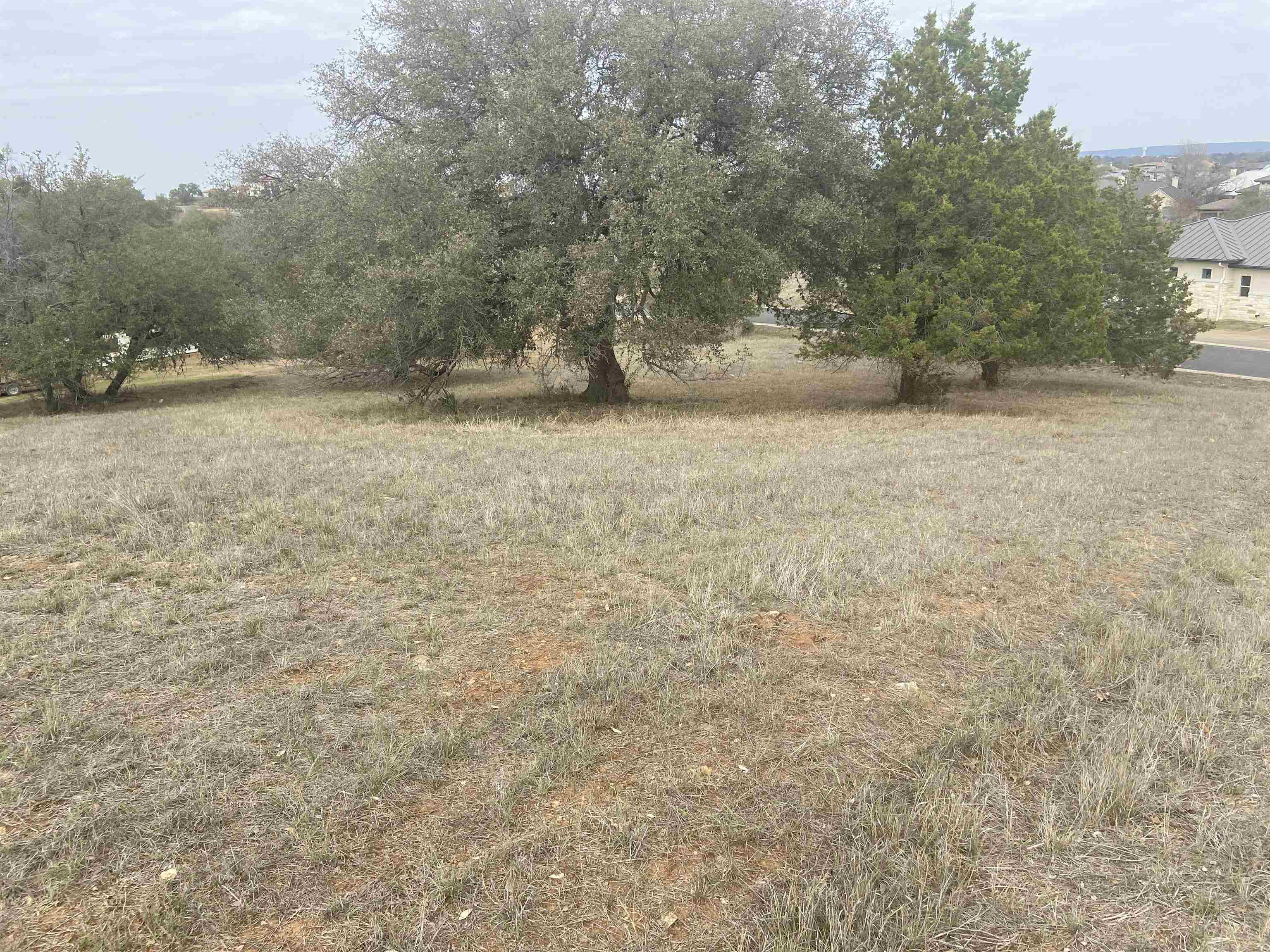 W2016 and W2017 Discreet