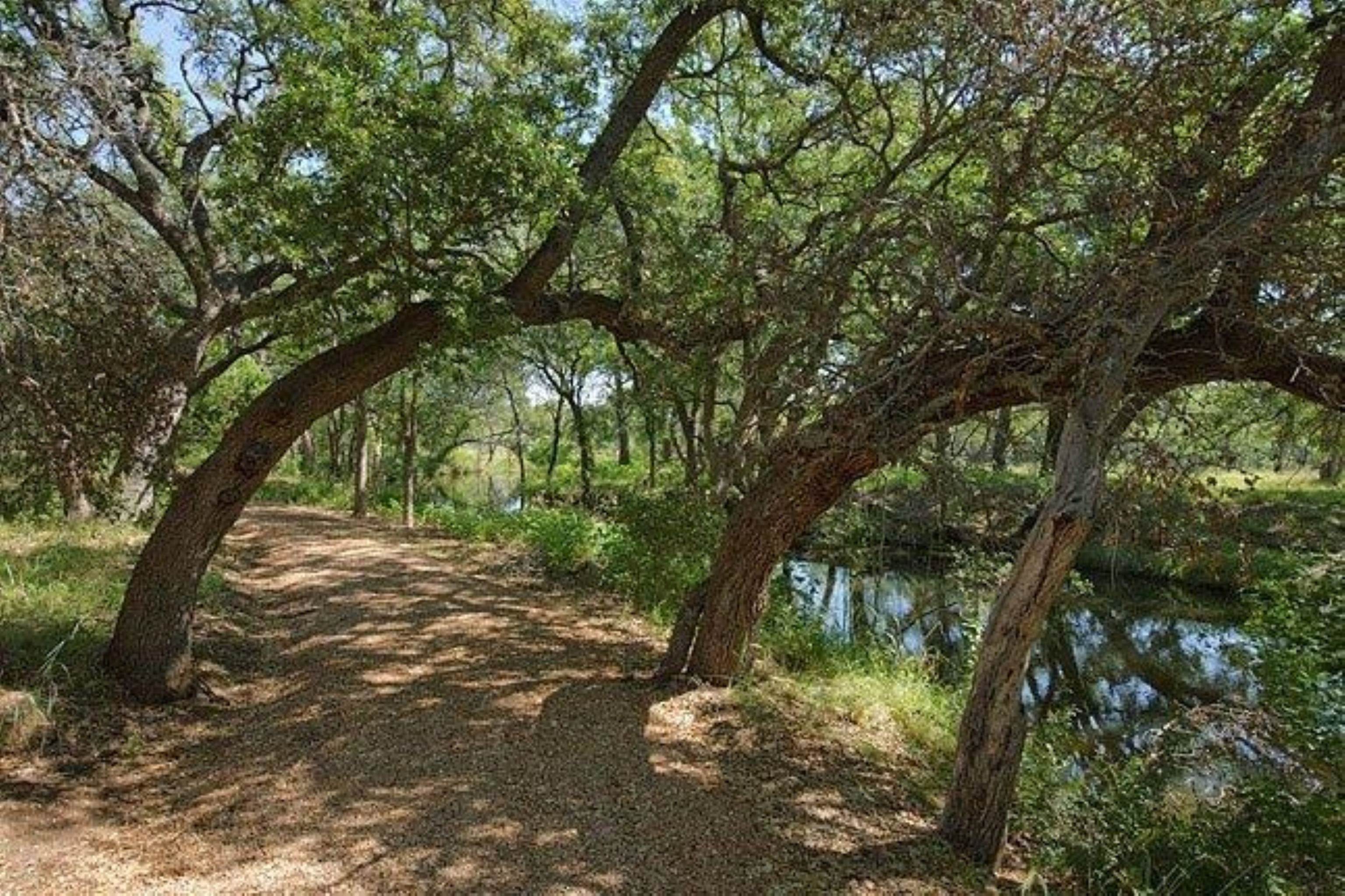 705 Trails Parkway