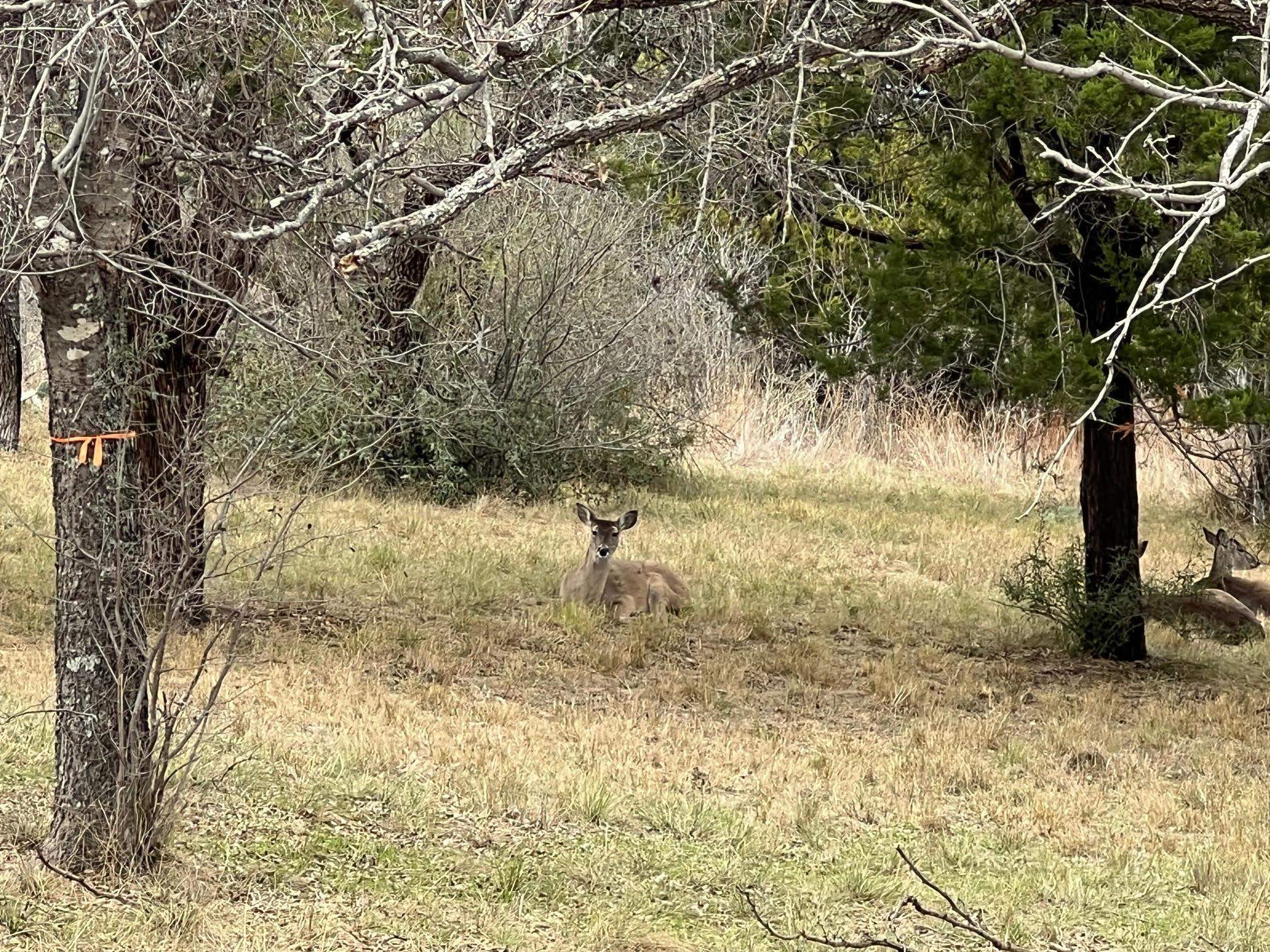Duplex Lot 8002 Hi Circle West