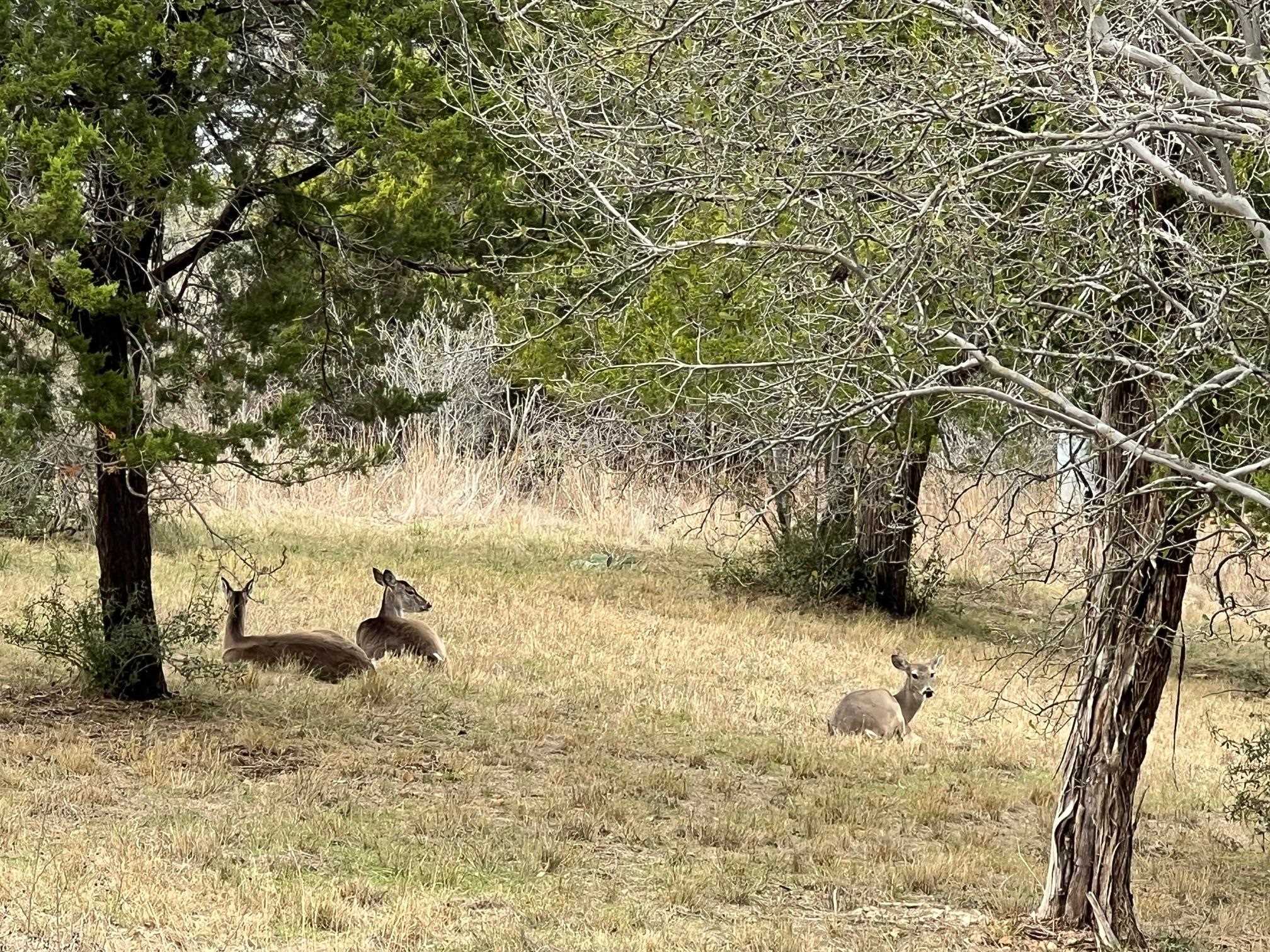 Duplex Lot 8002 Hi Circle West