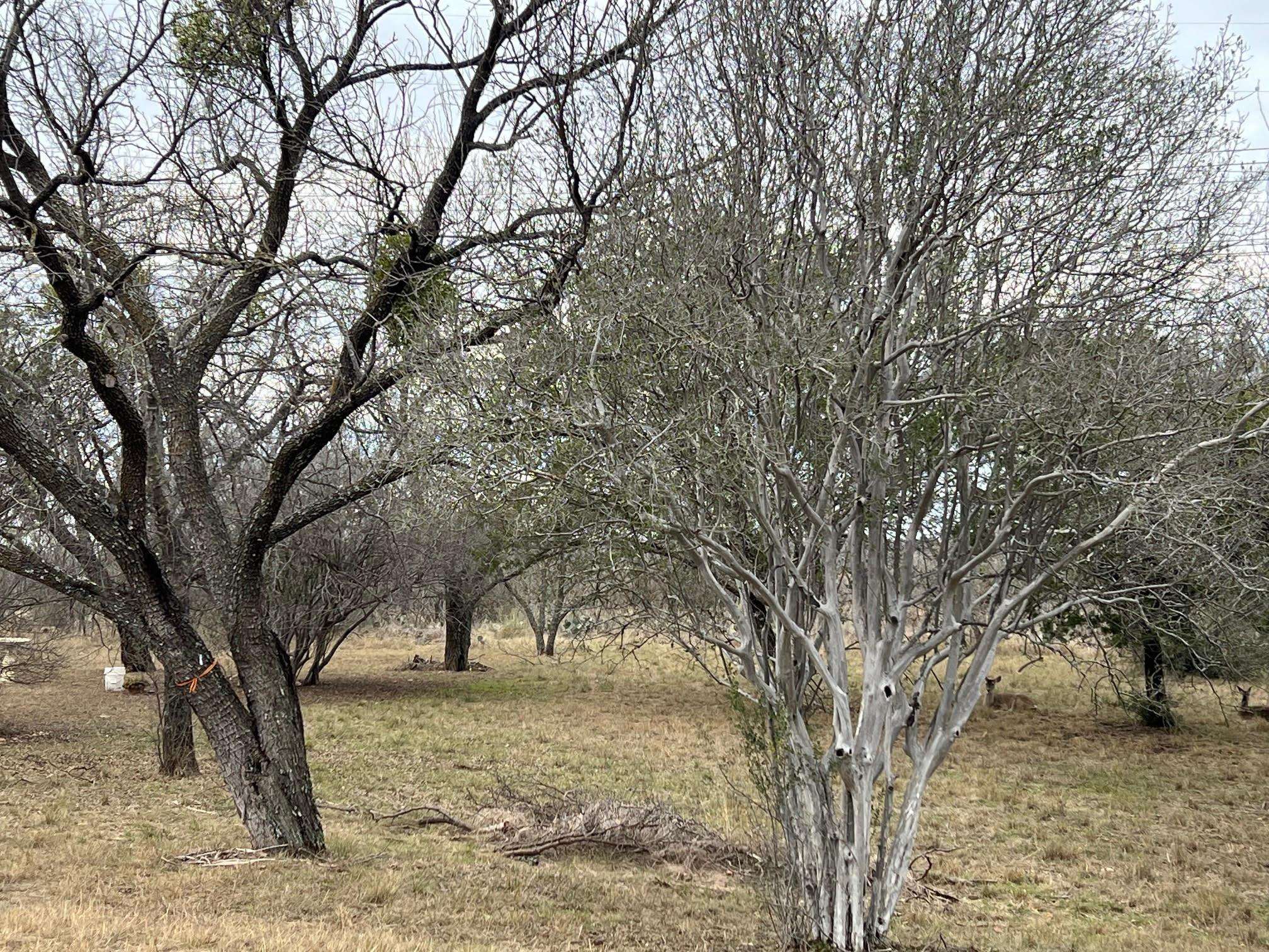 Duplex Lot 8002 Hi Circle West