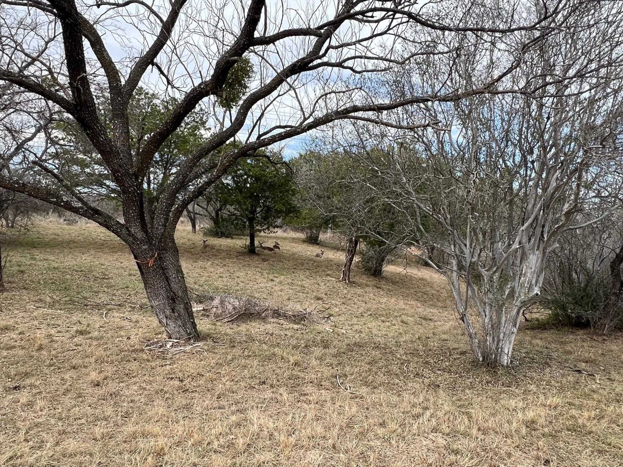 Duplex Lot 8002 Hi Circle West