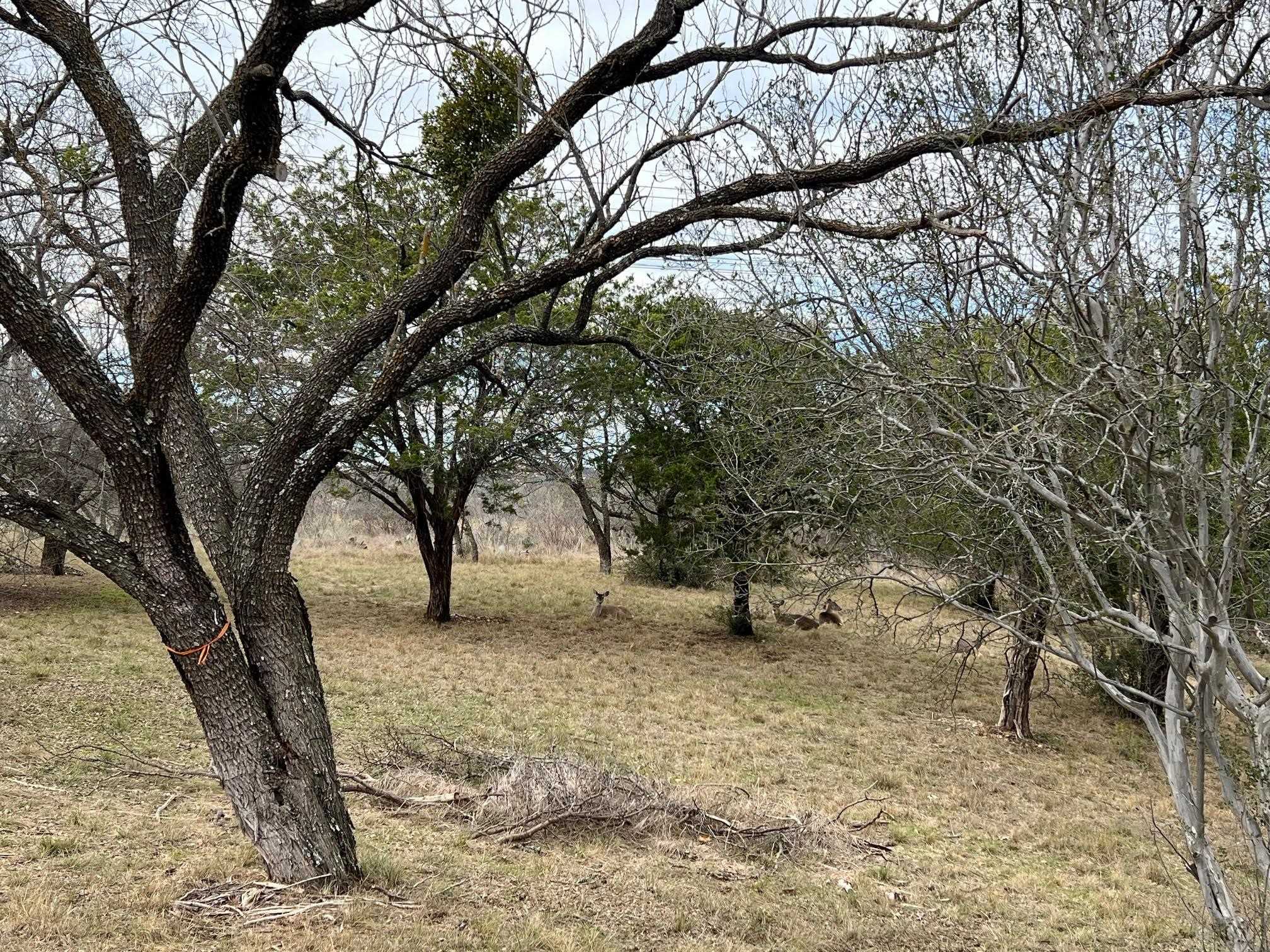 Duplex Lot 8002 Hi Circle West