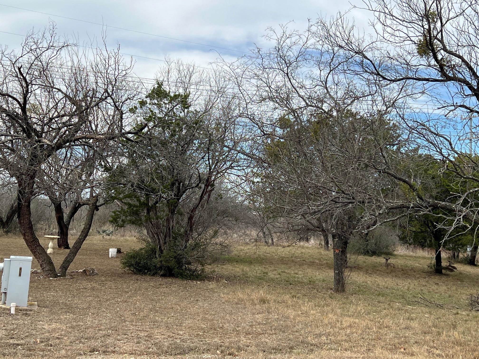 Duplex Lot 8002 Hi Circle West