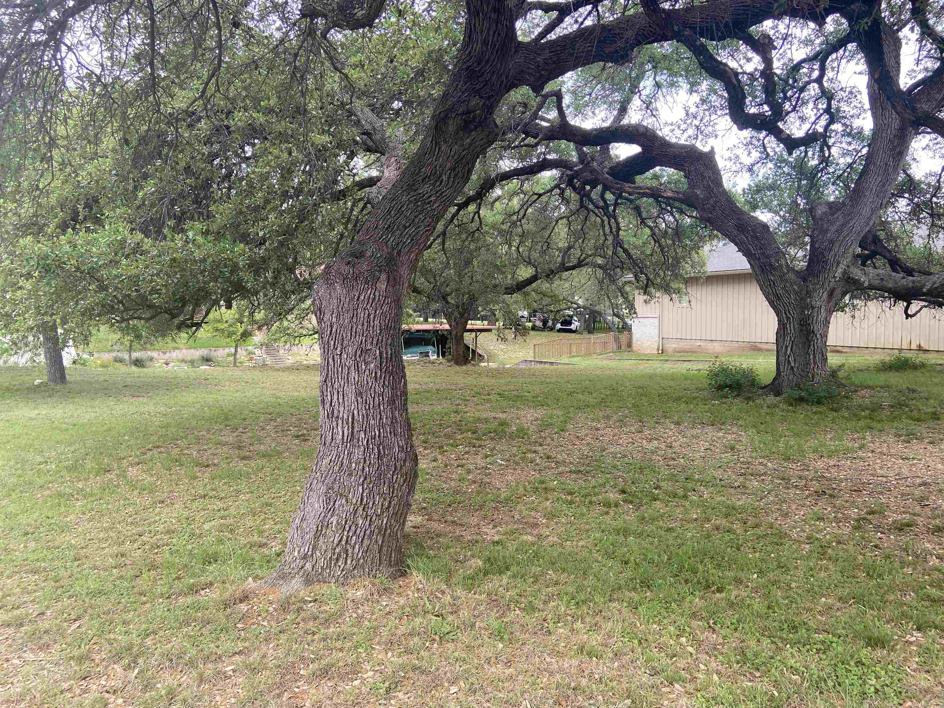 126 Sprucewood
