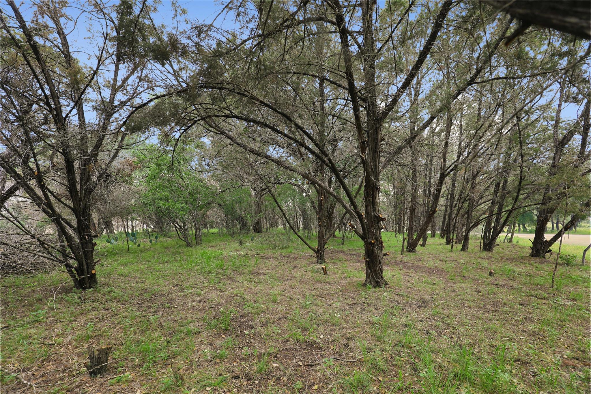 1702 Dove RD