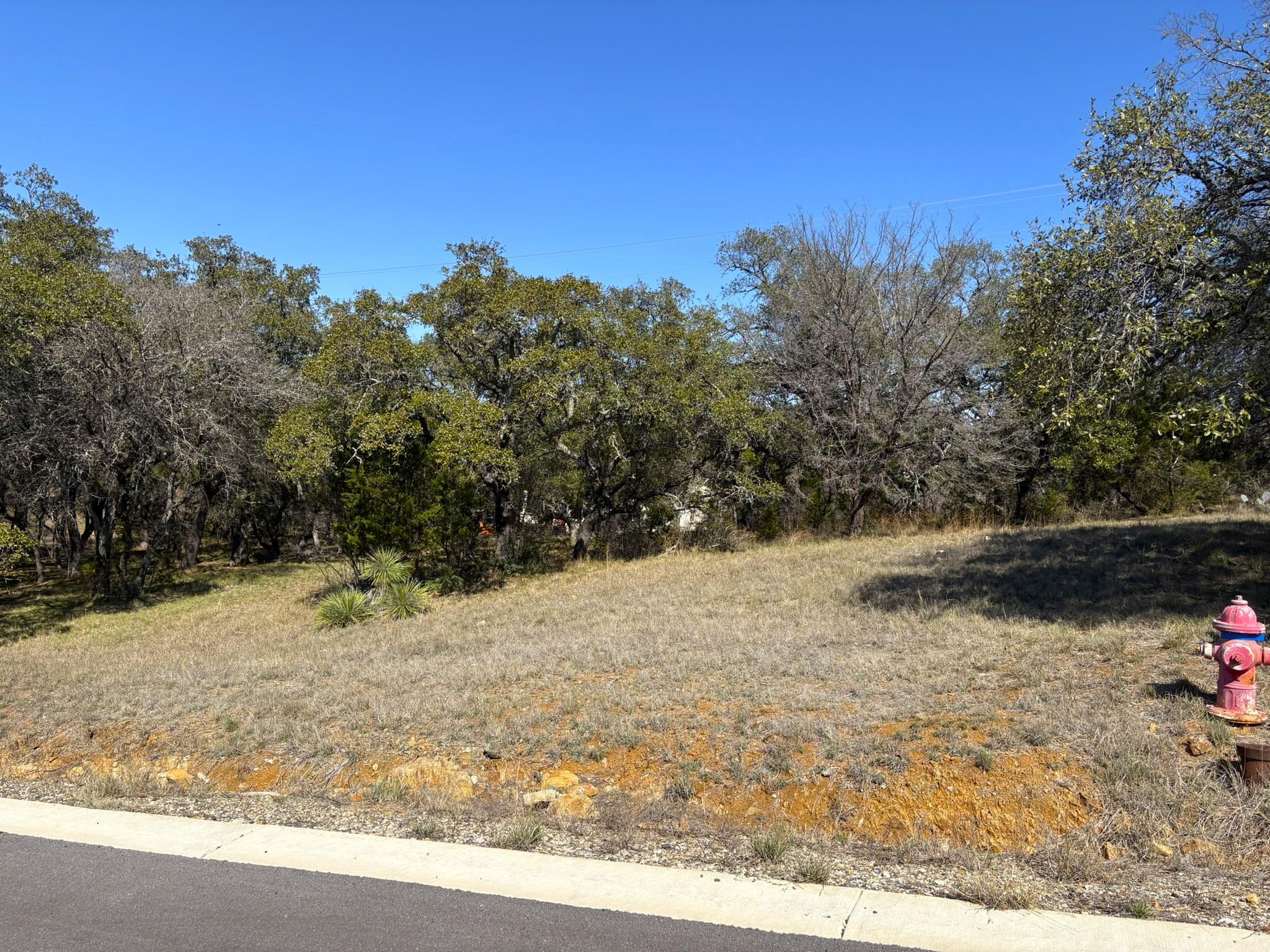 118 Cactus Corner