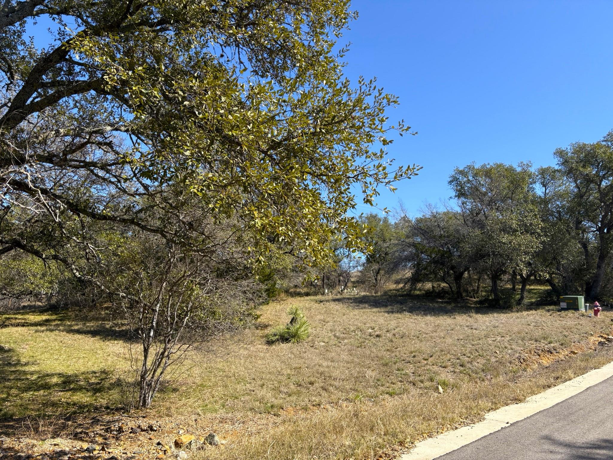 118 Cactus Corner