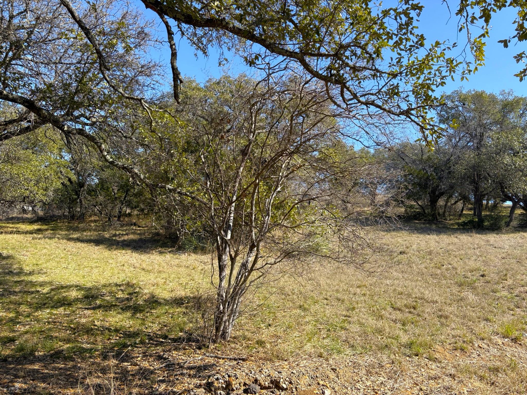 118 Cactus Corner