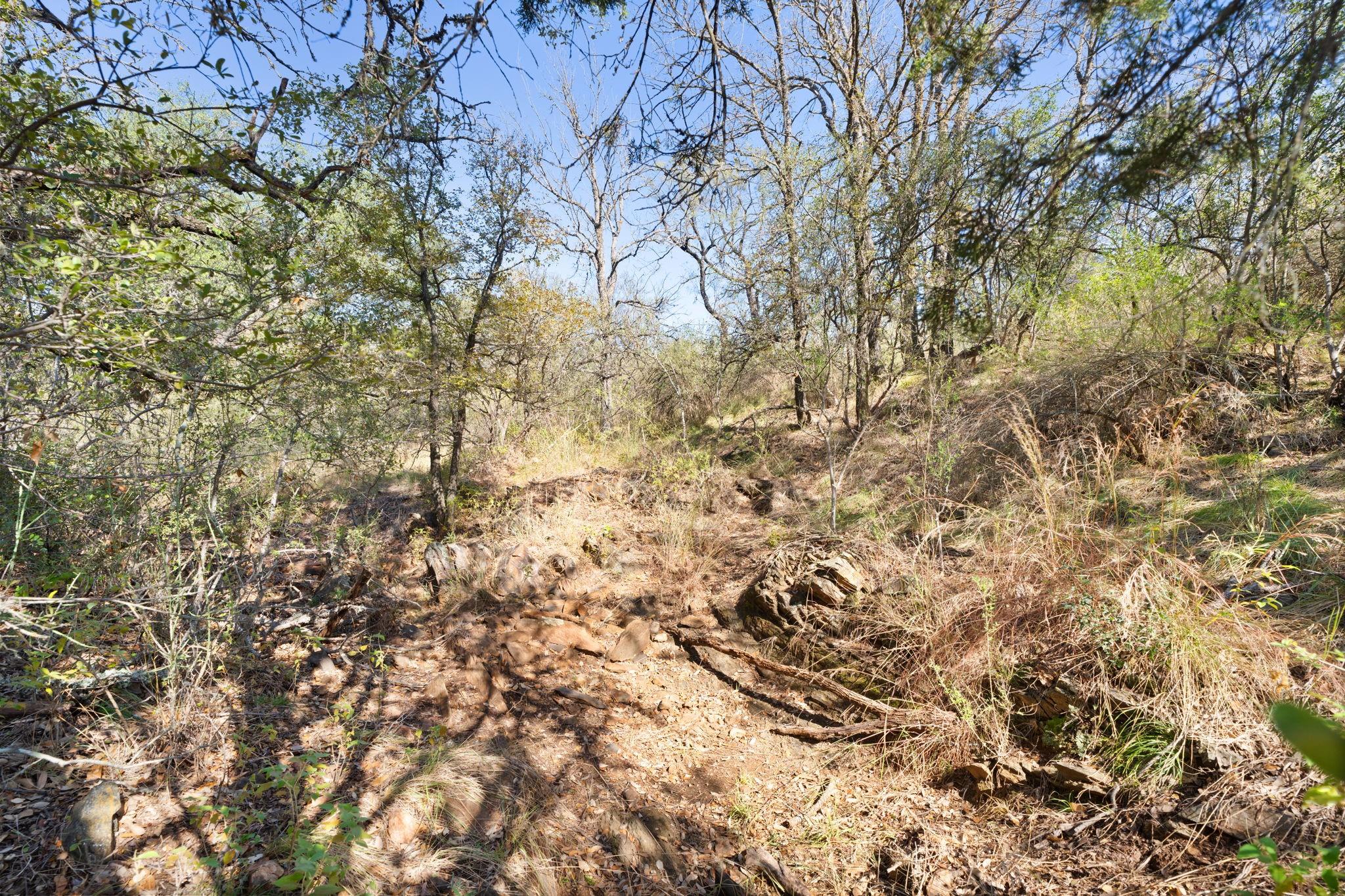 TBD - Lot 1 Sandy Mountain DR