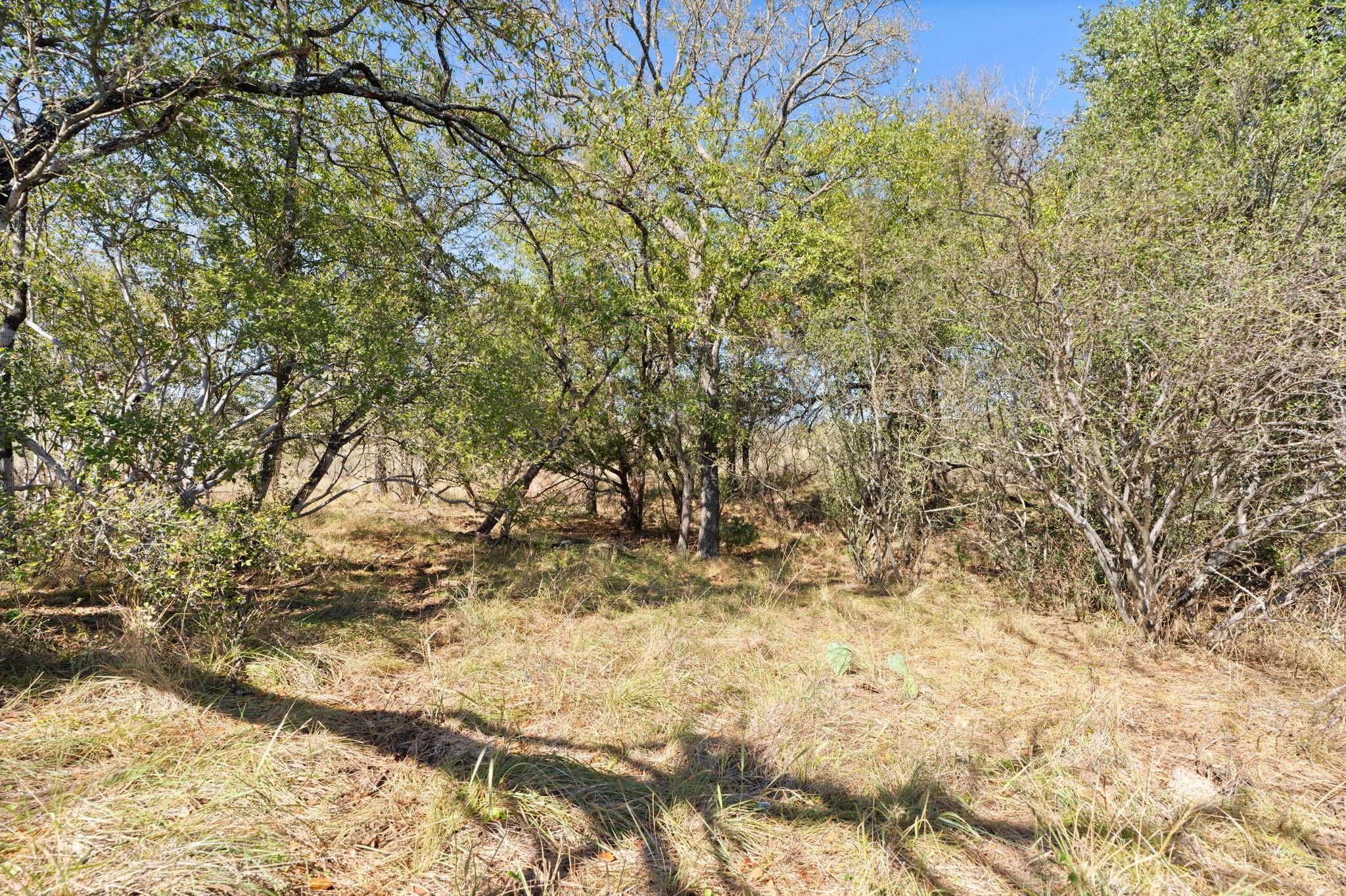 TBD - Lot 1 Sandy Mountain DR