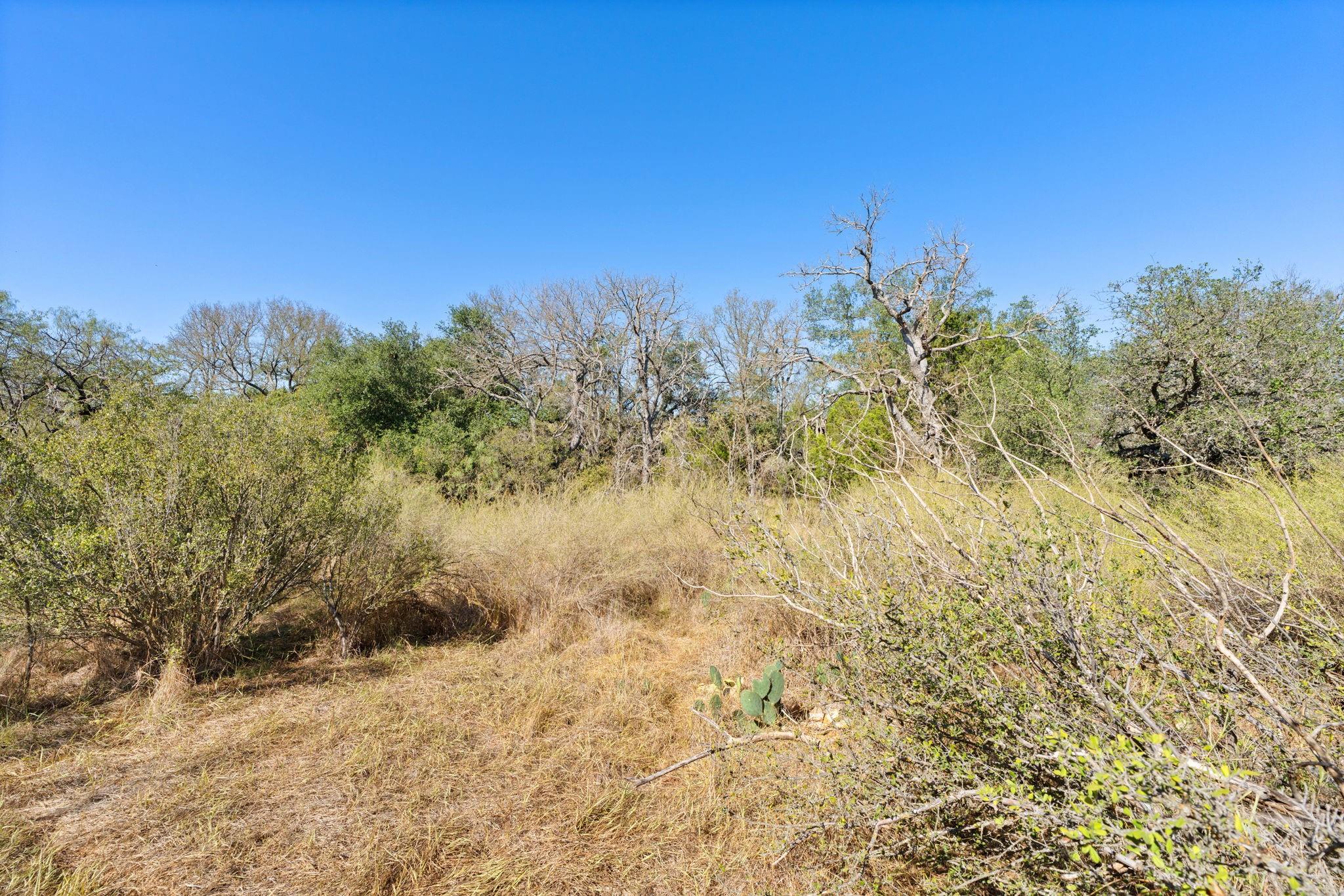 TBD - Lot 1 Sandy Mountain DR