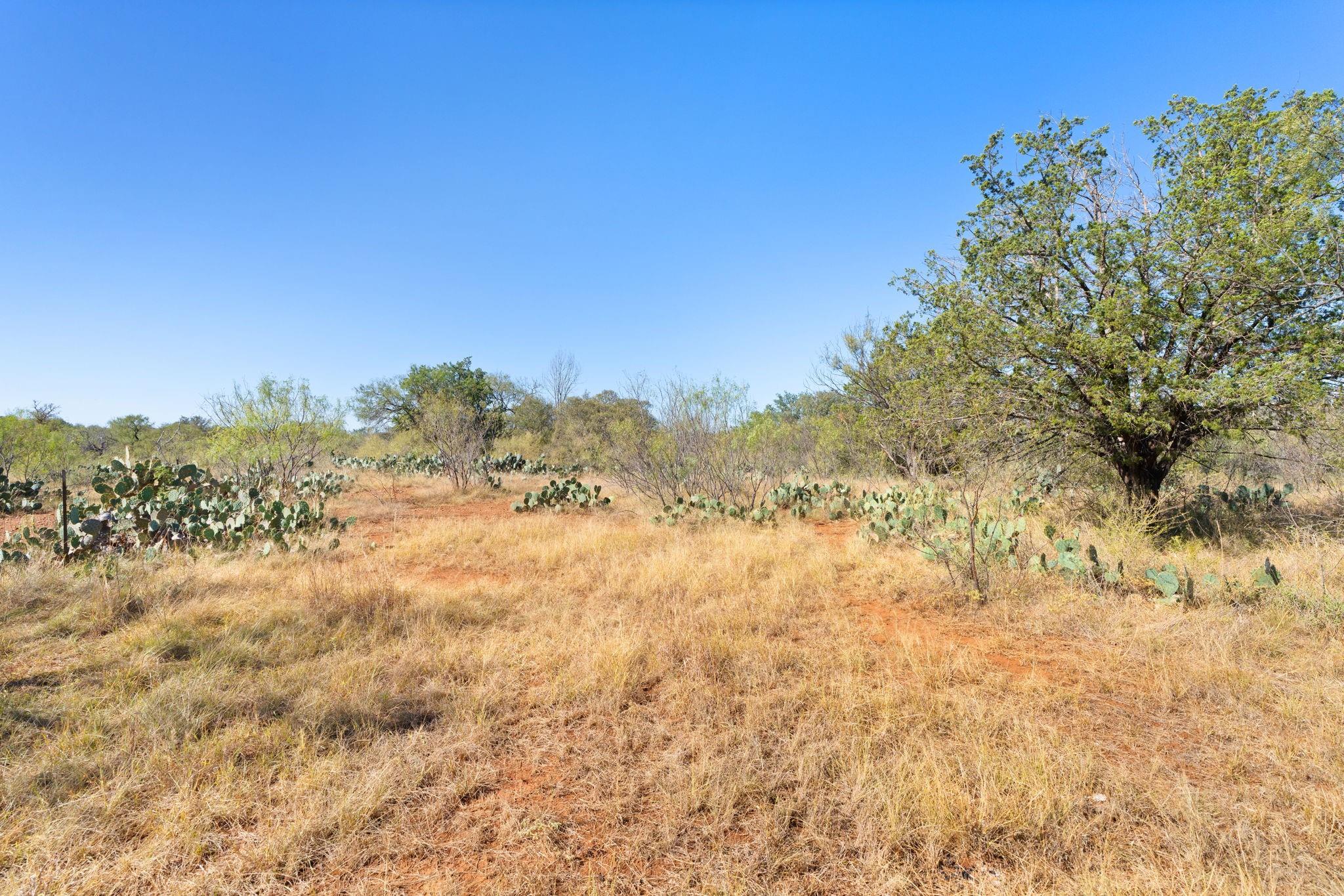 TBD - Lot 1 Sandy Mountain DR