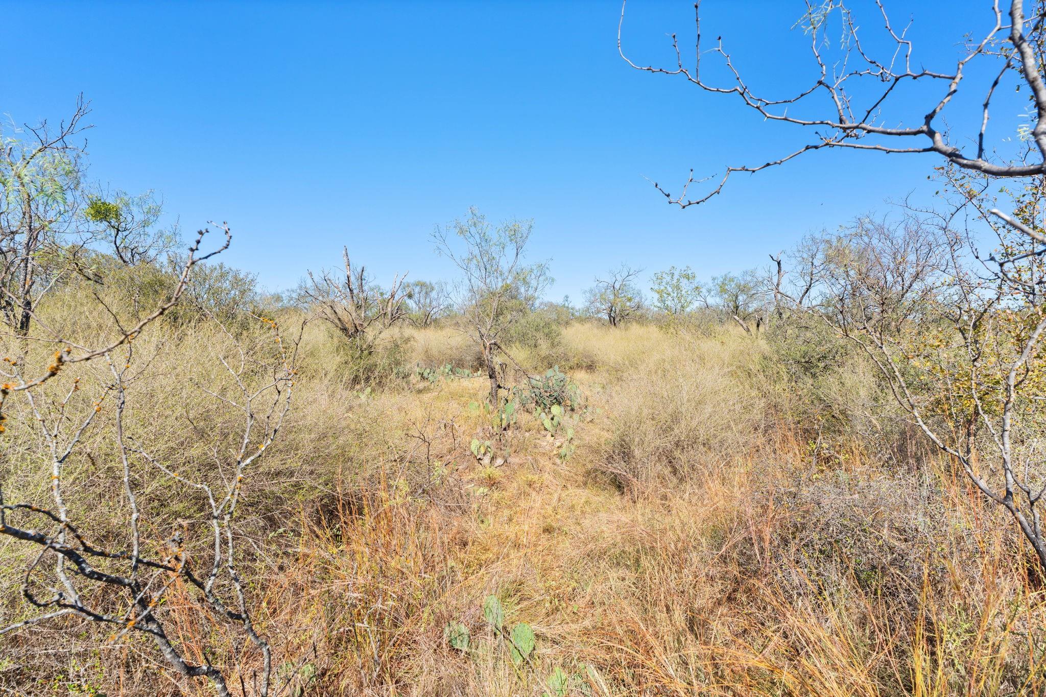 TBD - Lot 1 Sandy Mountain DR