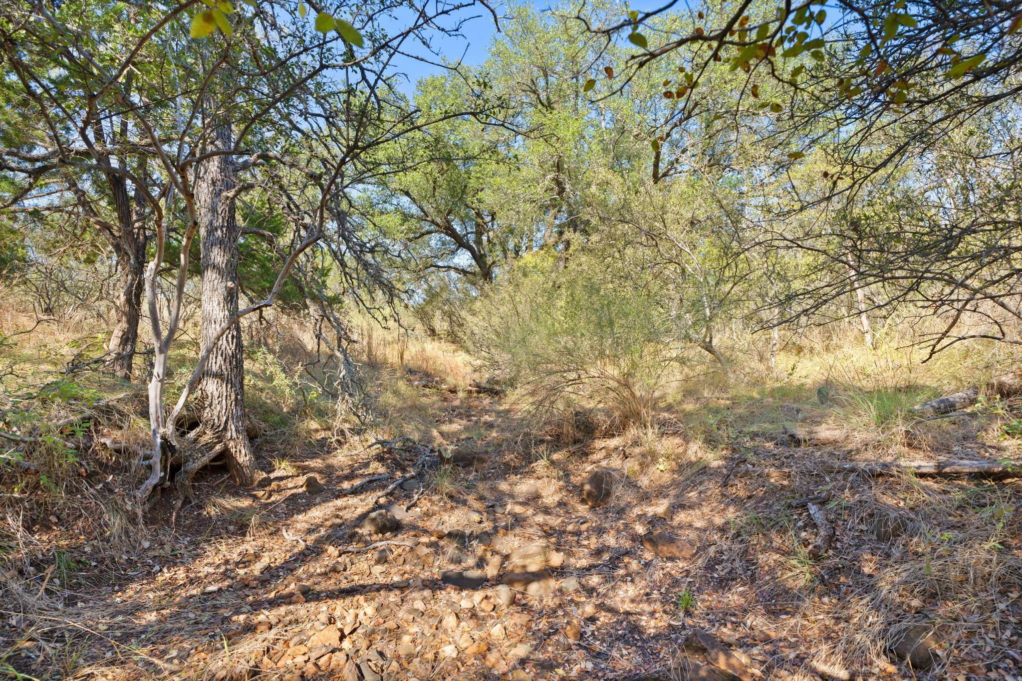 TBD - Lot 1 Sandy Mountain DR