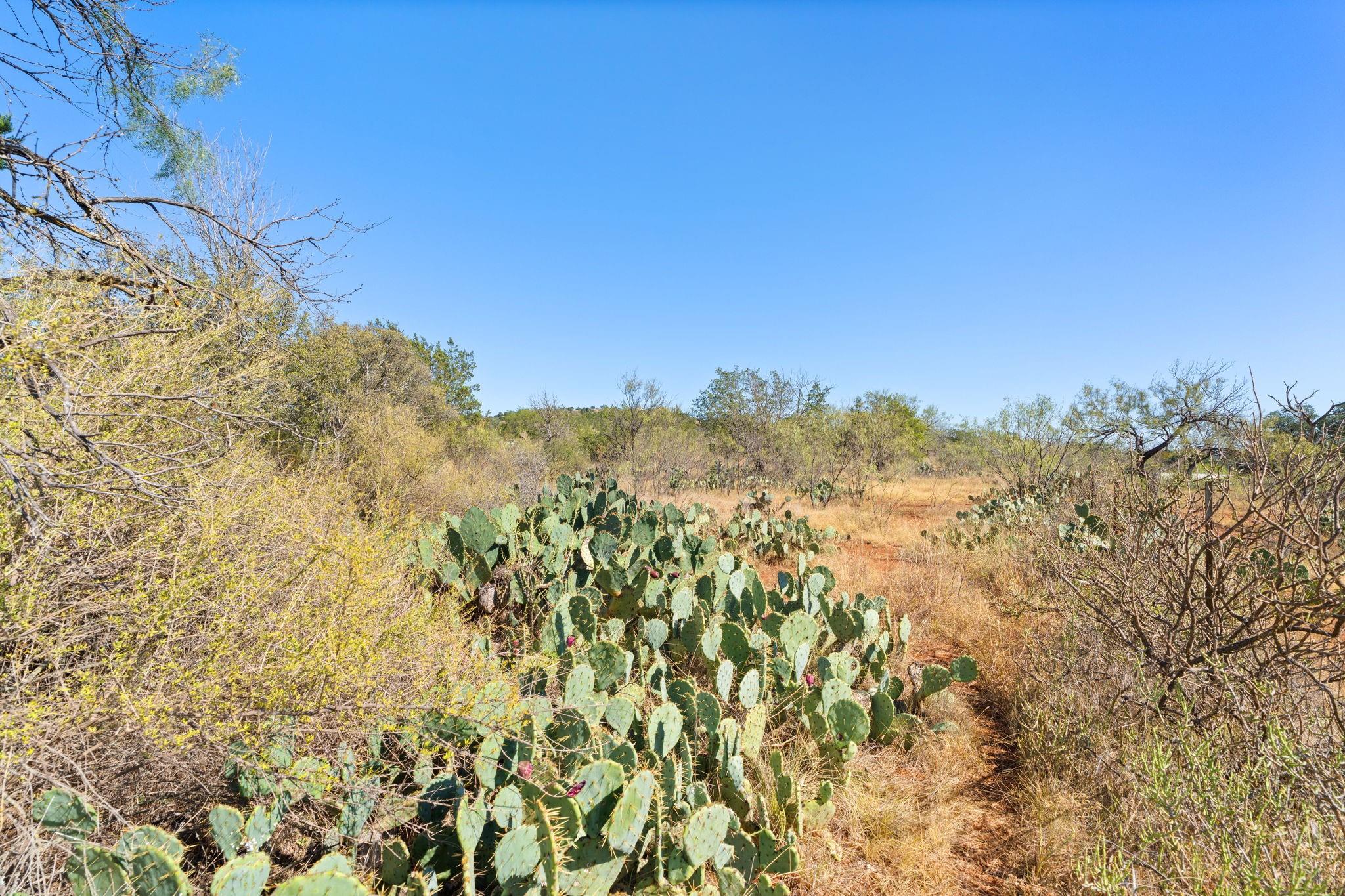 TBD - Lot 1 Sandy Mountain DR